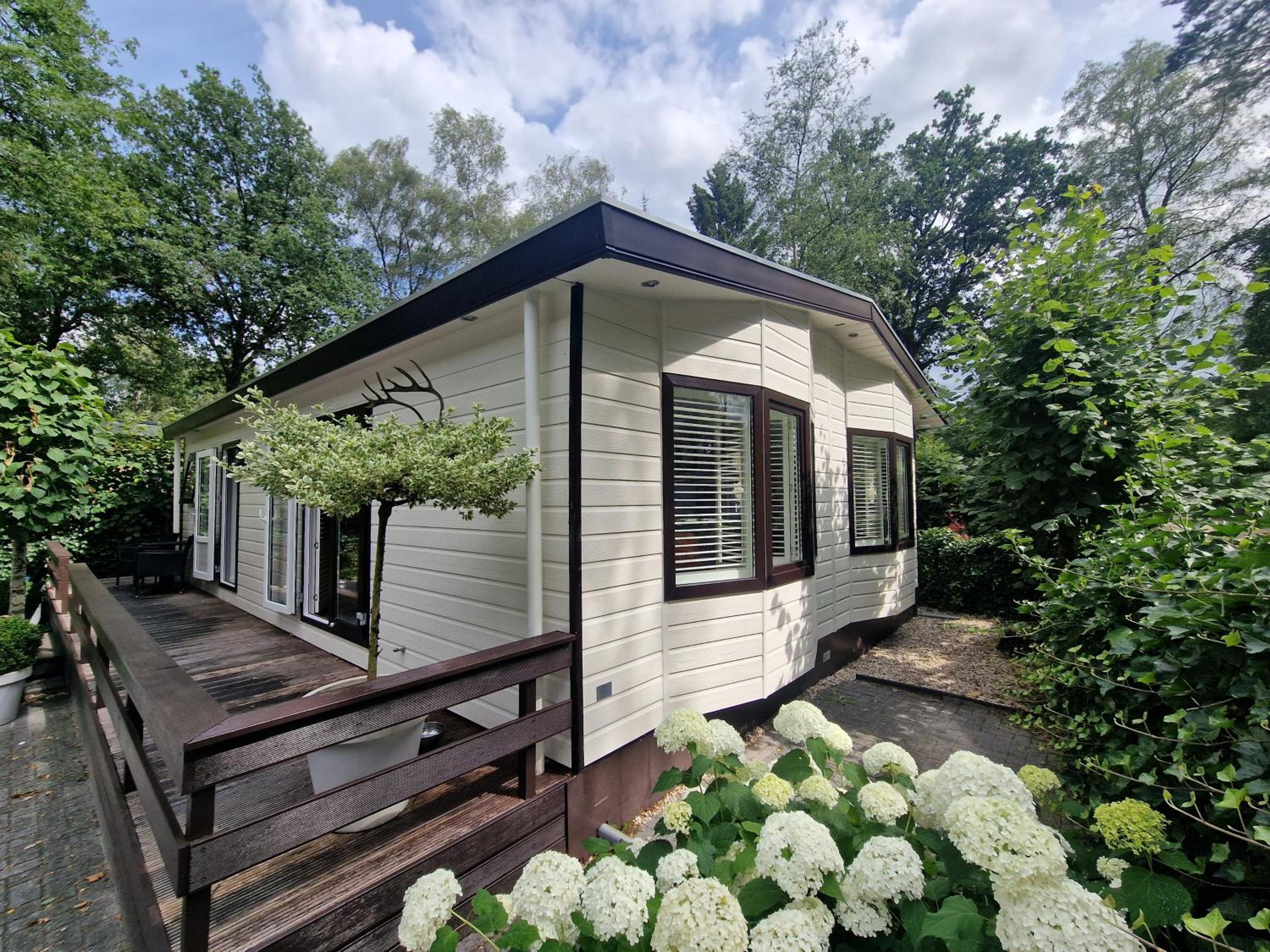 Three-Bedroom Chalet photo 2