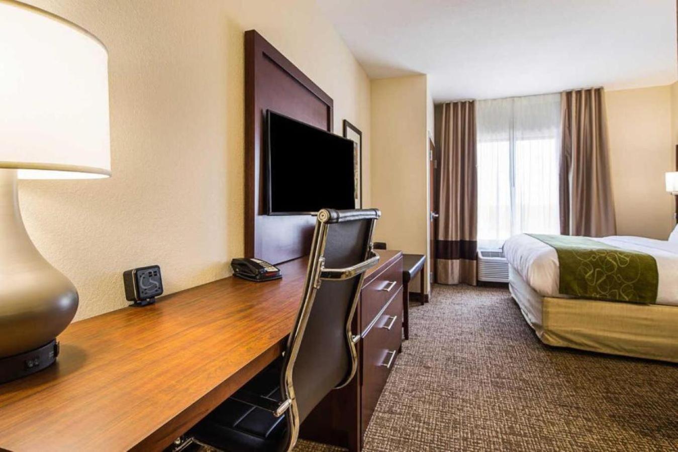 Large King Suite with Sofa Bed photo 3