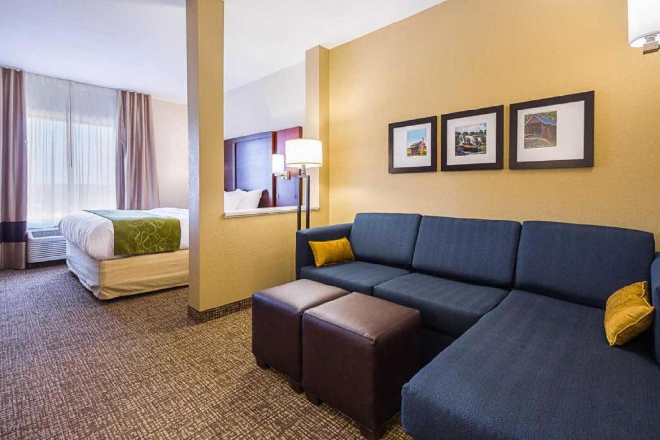Large King Suite with Sofa Bed