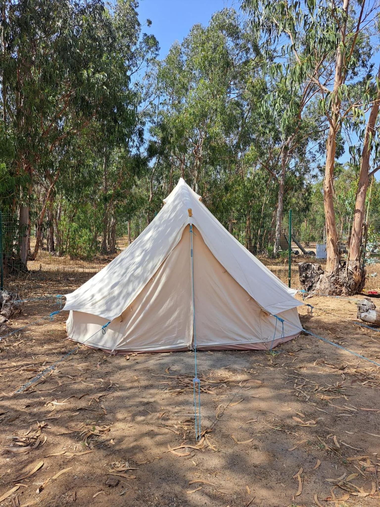 Premium Tent - Photo 2