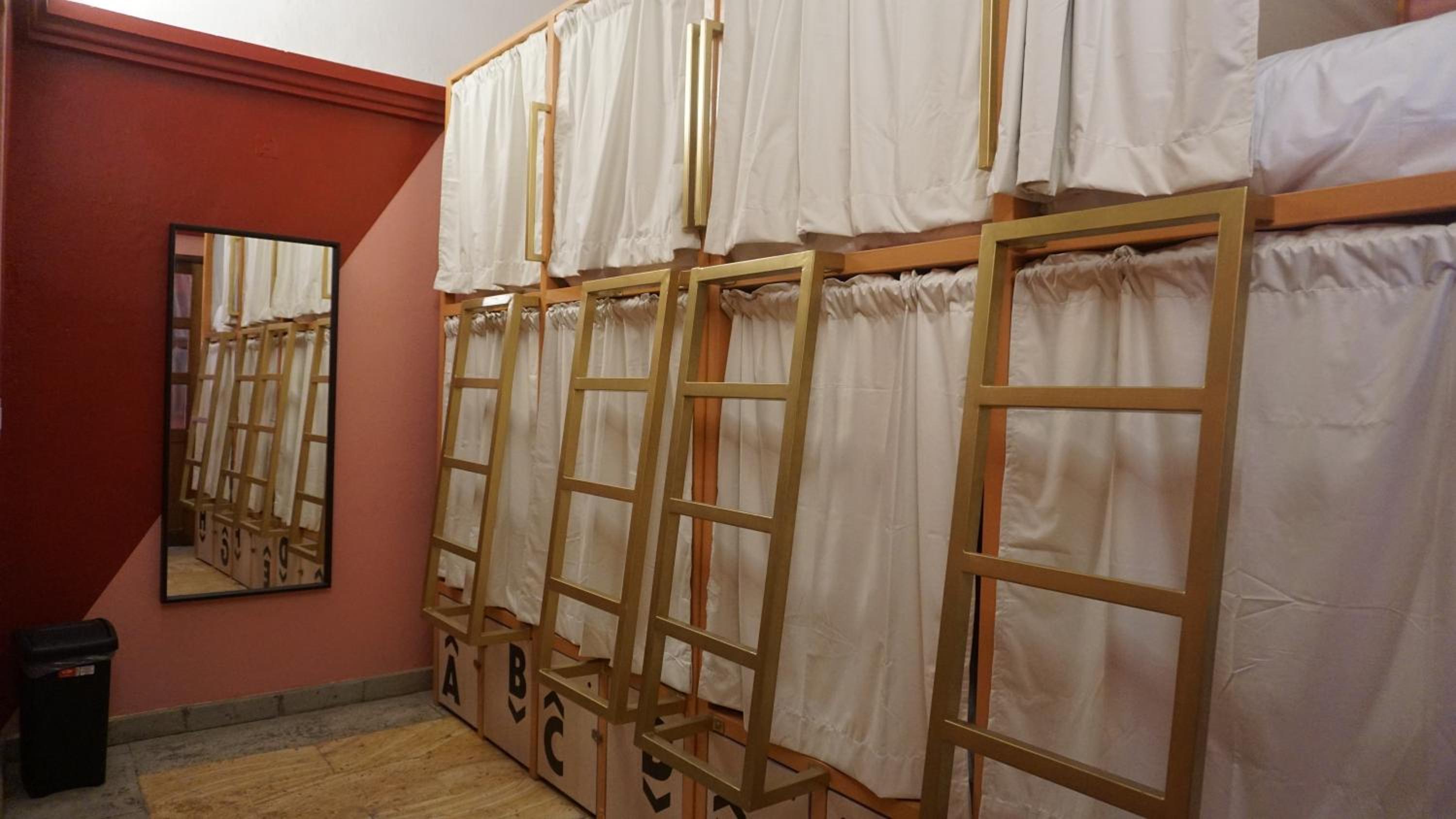 Bed in 8-Bed Mixed Dormitory Room