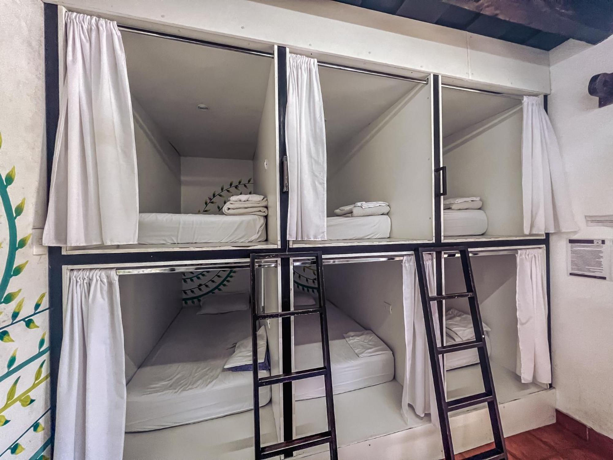 Single Bed in Mixed Dormitory Room photo 1