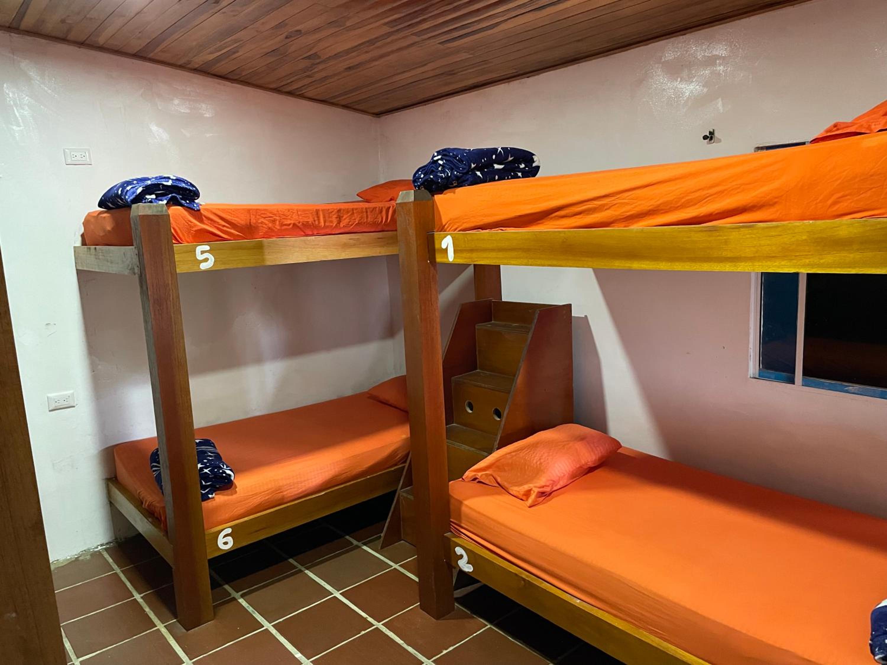 Bunk Bed in Mixed Dormitory Room photo 2