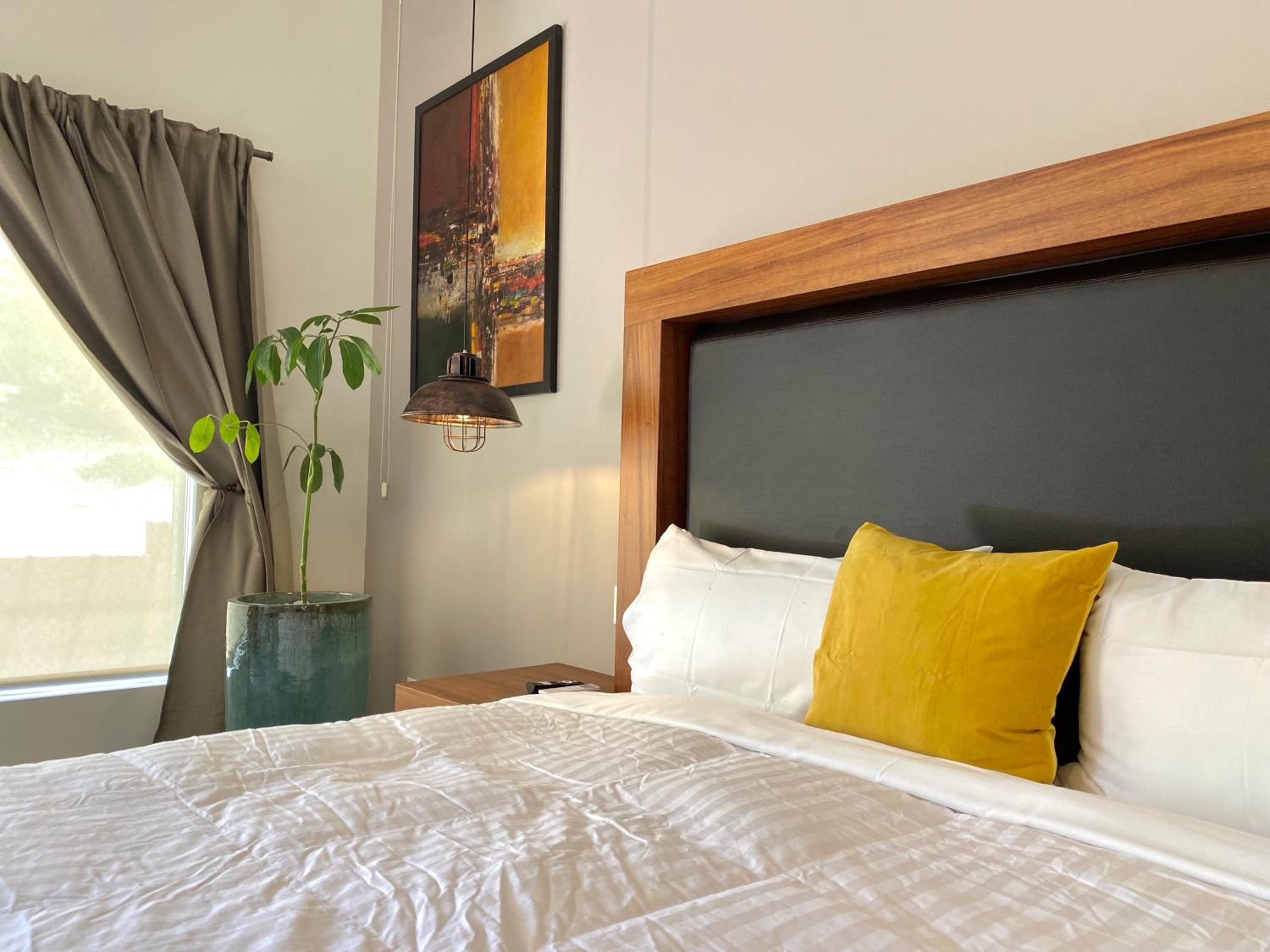 Superior King Suite - Photo 8