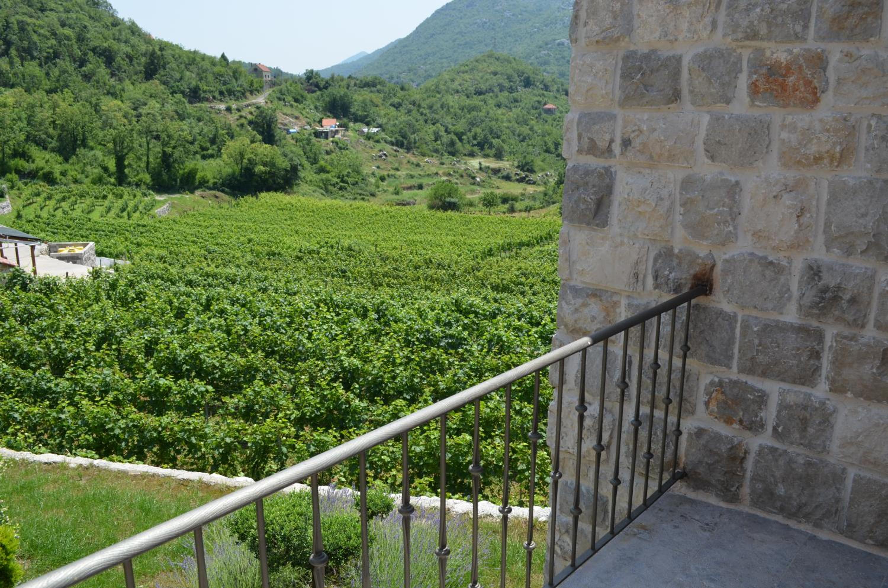 Double Room with Balcony photo 1
