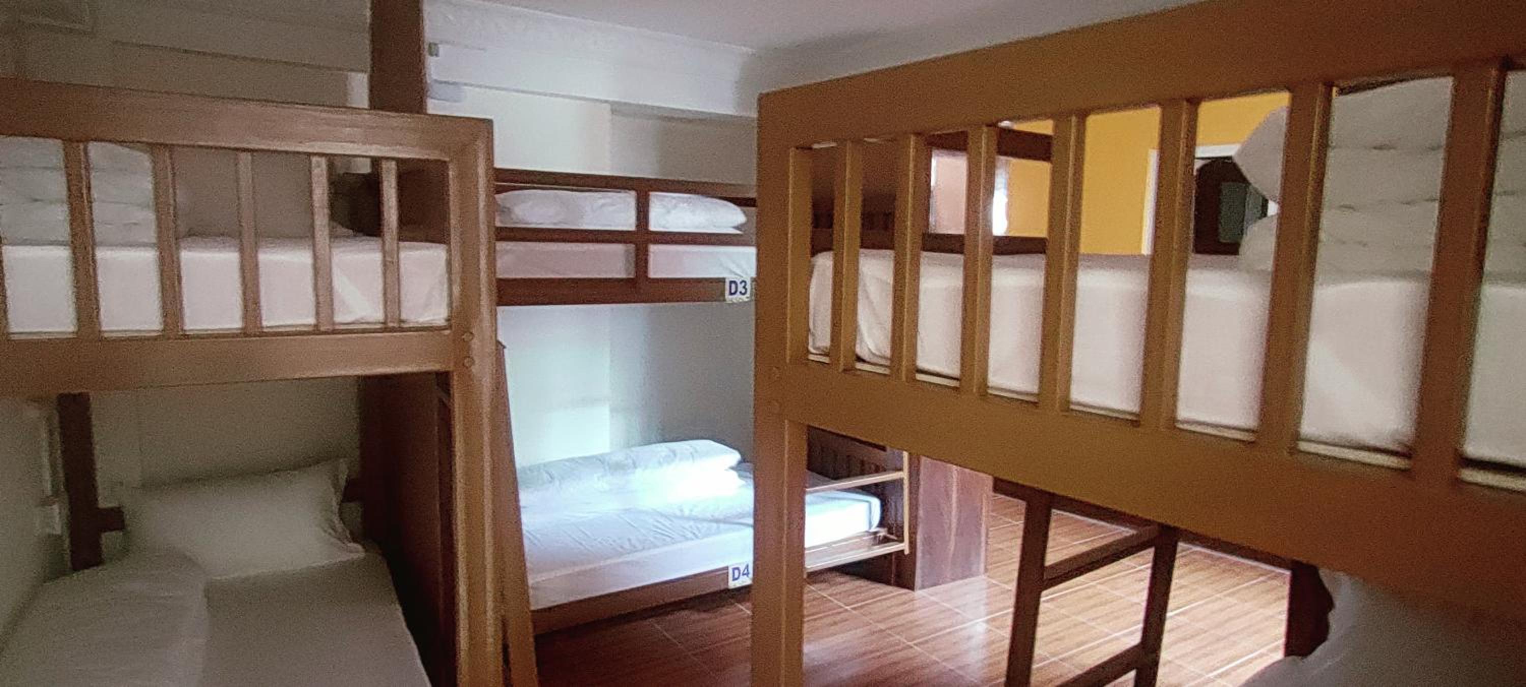 Bed in 6-Bed Mixed Dormitory Room photo 3