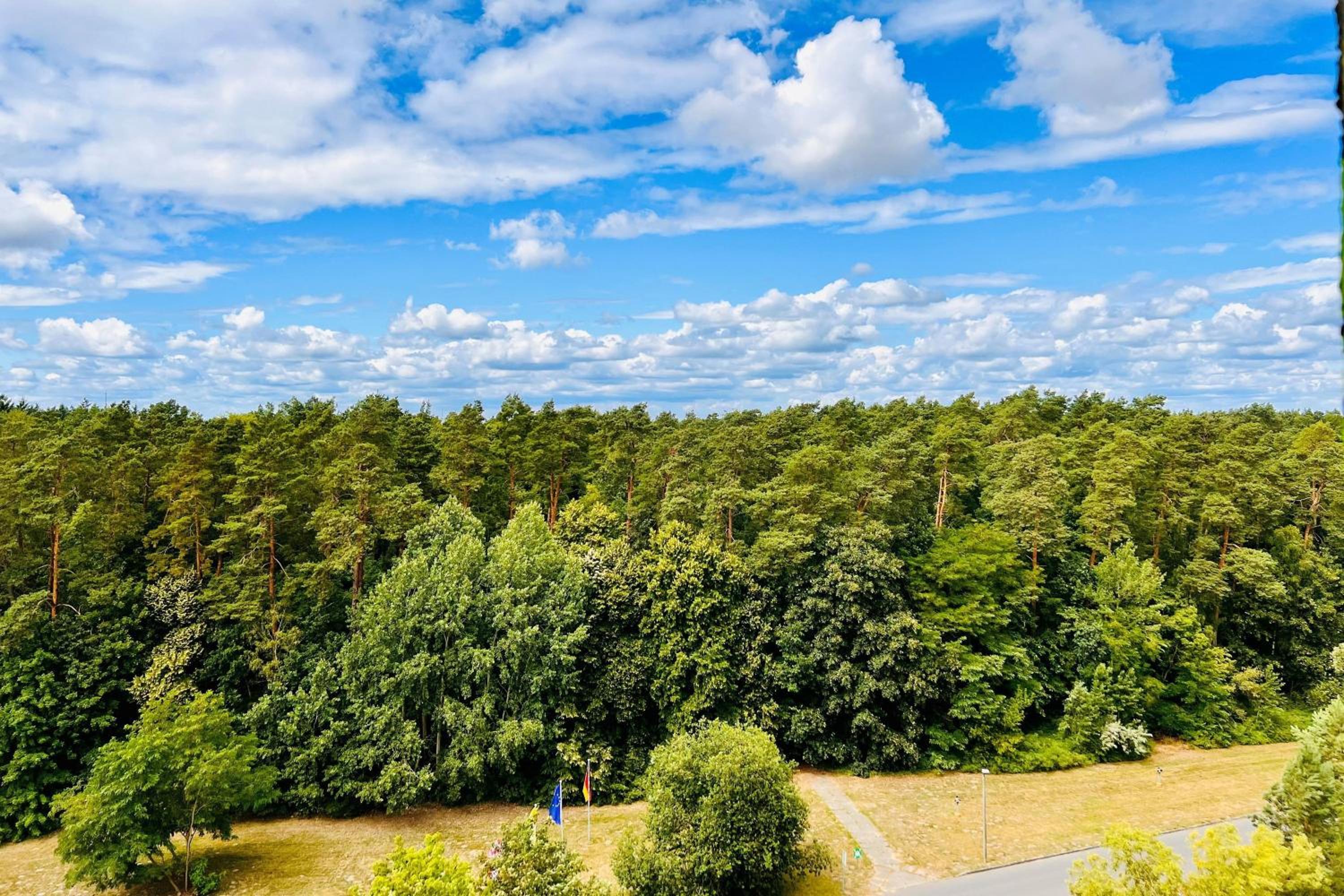 Panorama Studio with Forest View - Photo 7