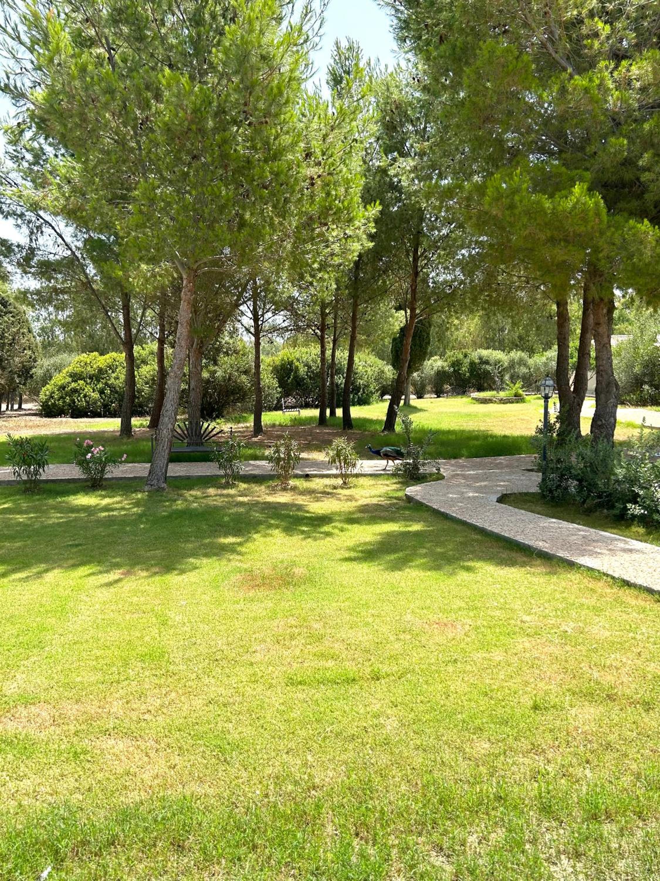 Deluxe Double or Twin Room with Garden View - Photo 11