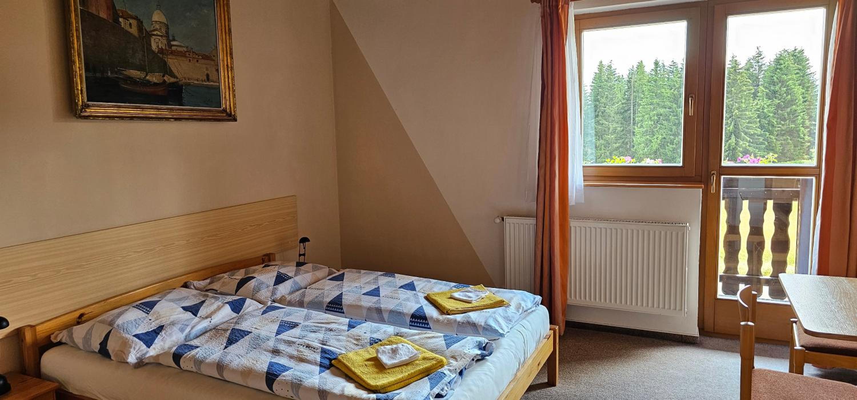 Double Room with Balcony photo 1