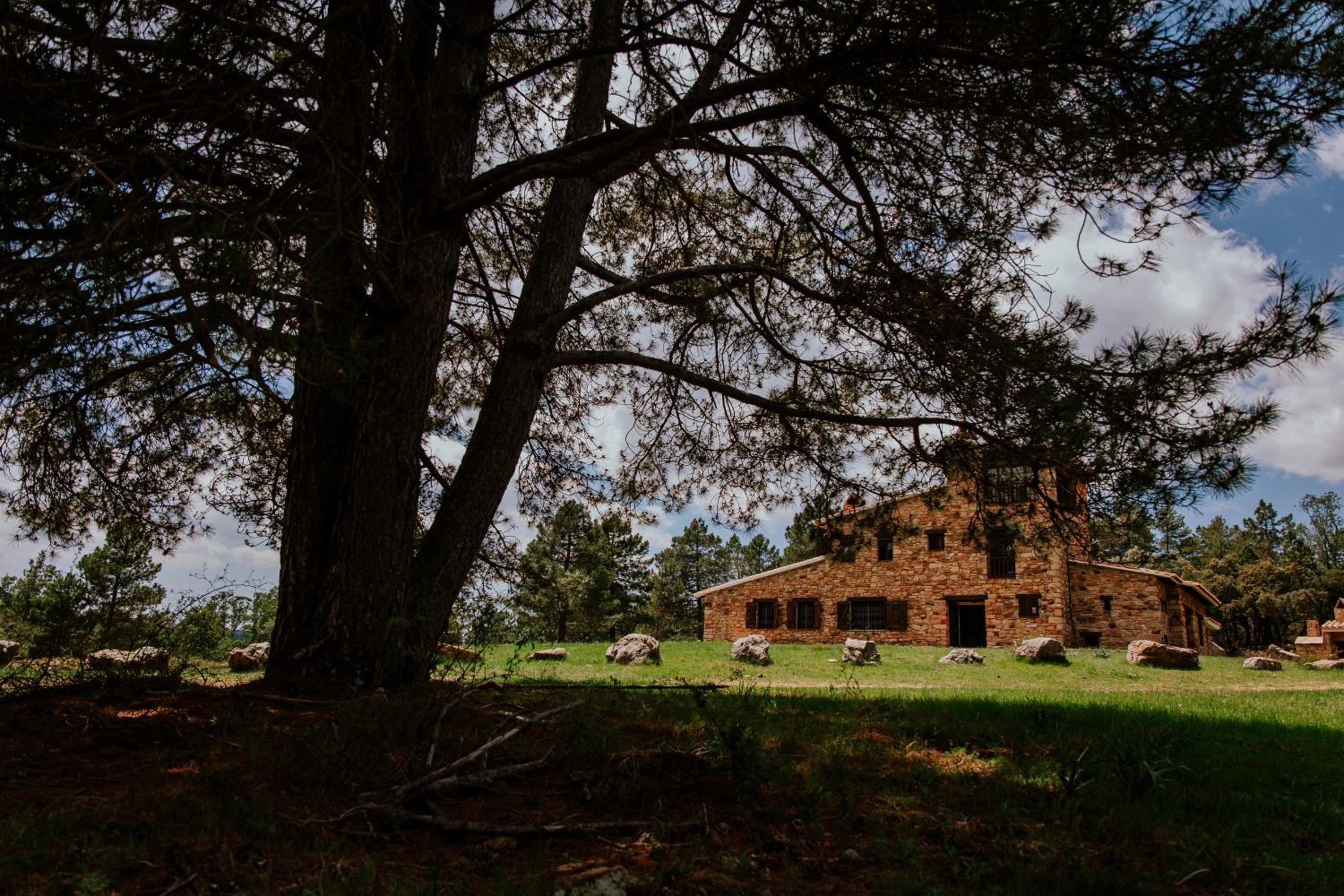 Chalet photo 3