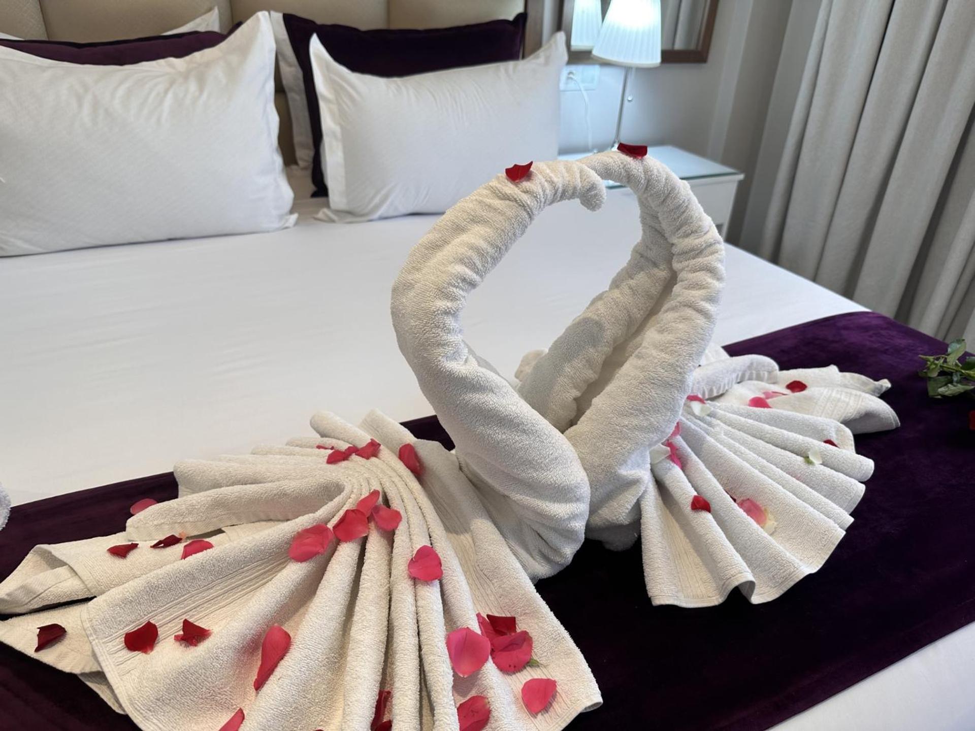 Superior Suite photo 1