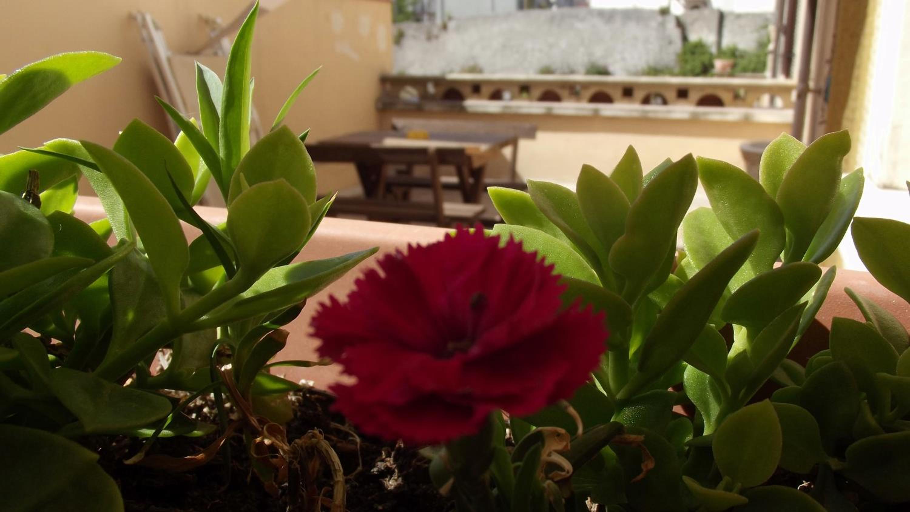 Double Room with Balcony photo 3