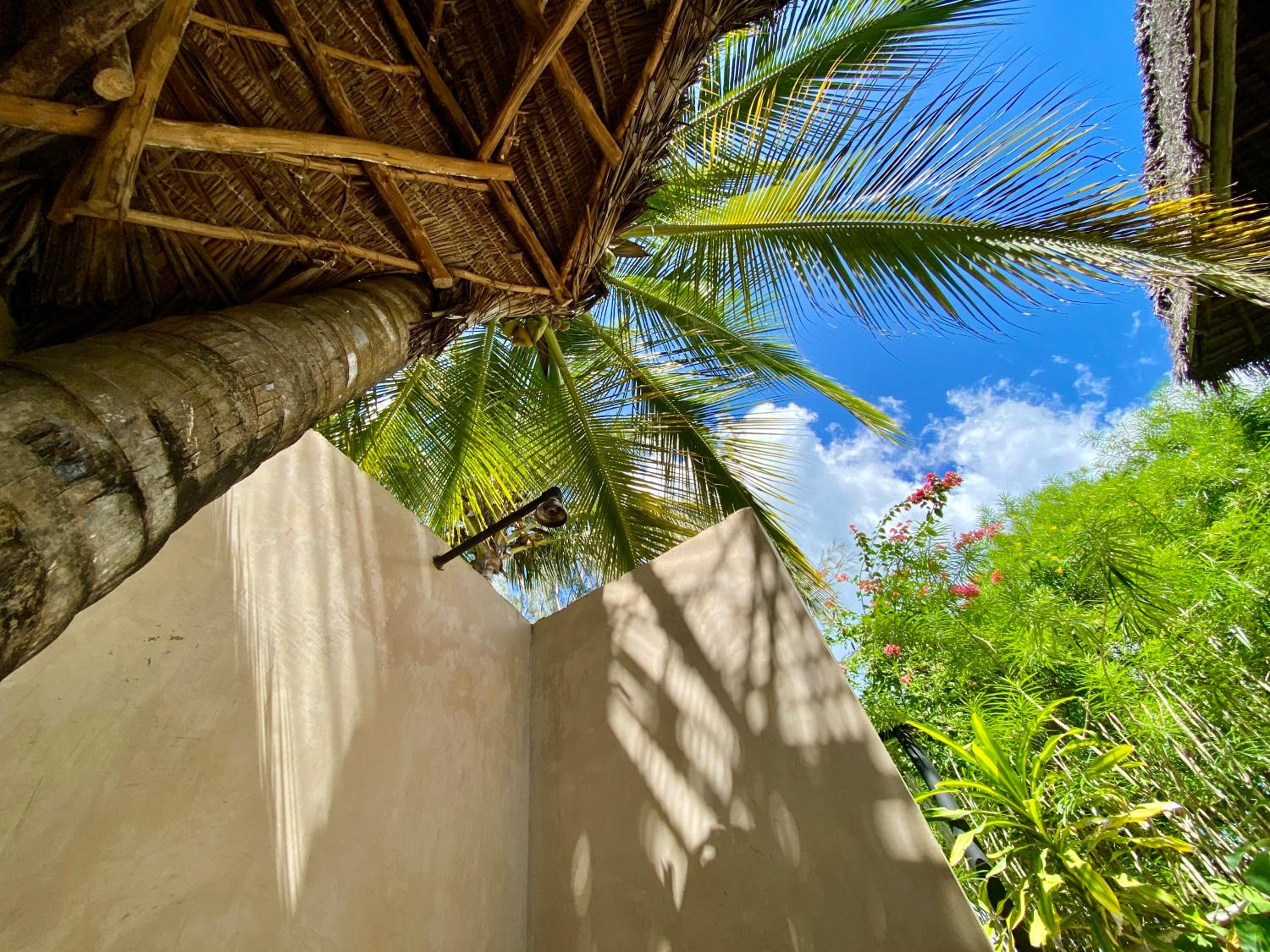 Bungalow with Garden View photo 3