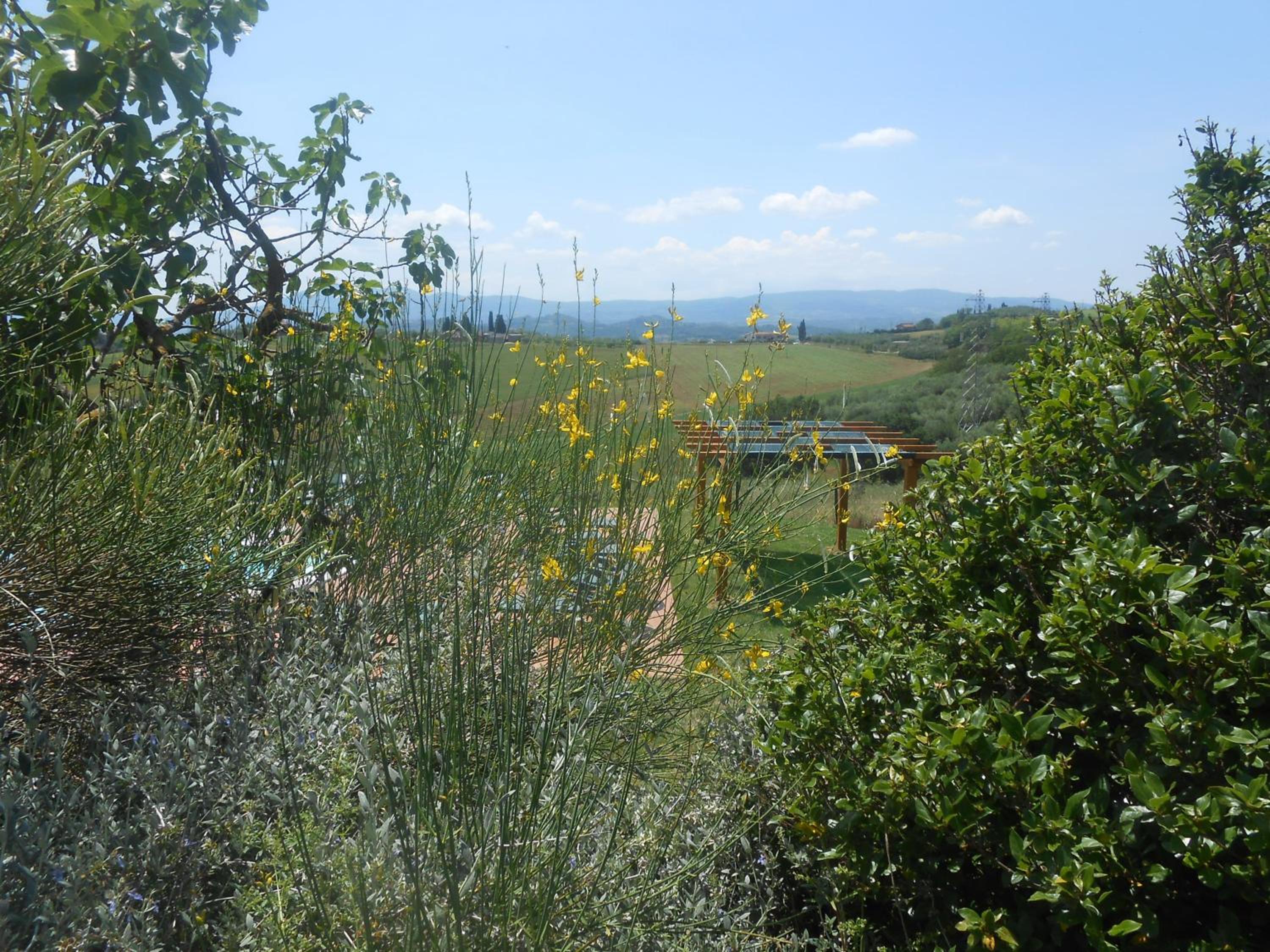 Agriturismo Borgo Del Papa, Foto 28