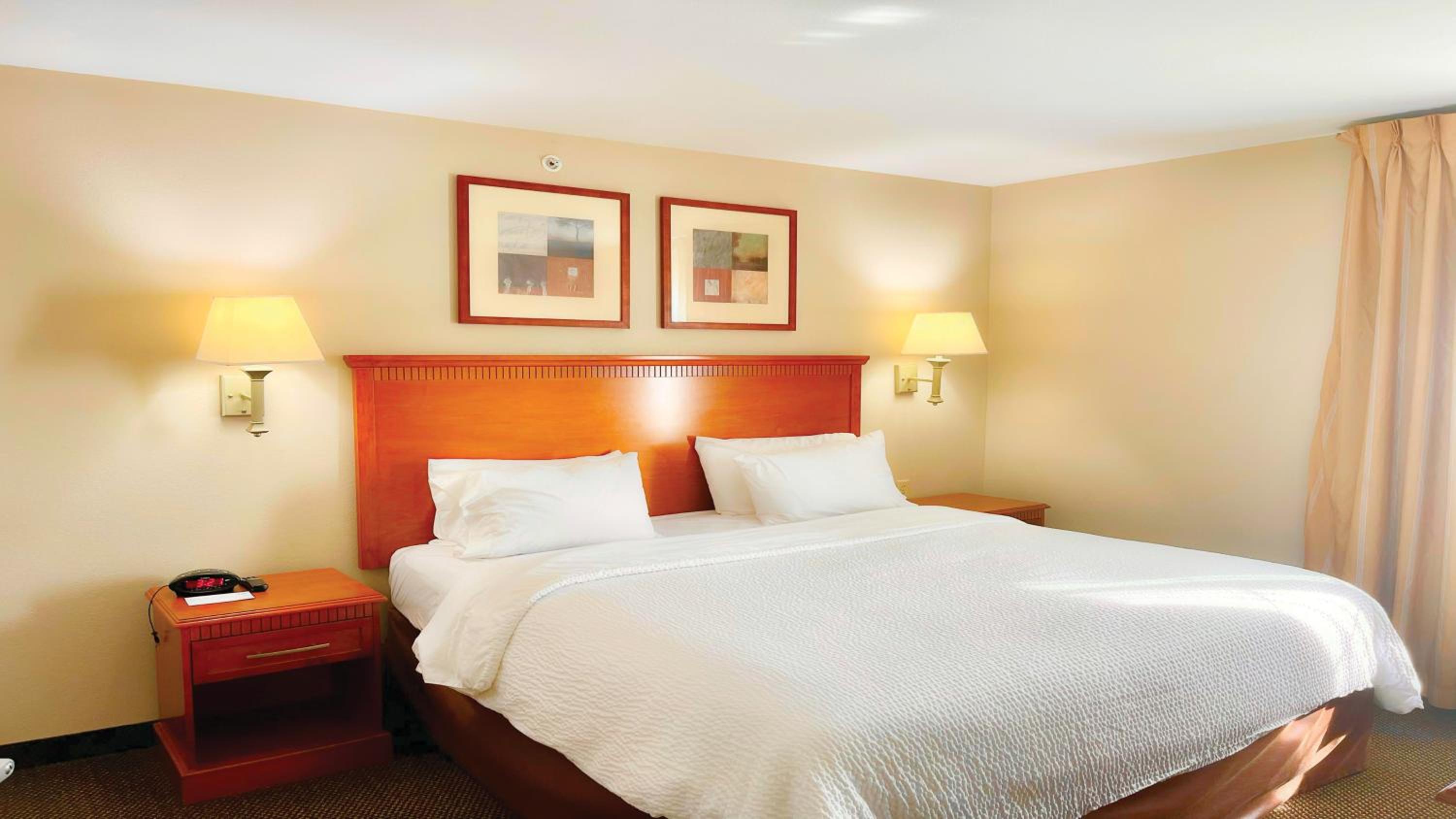 One-Bedroom King Suite with Mobility Accessible Roll-In Shower - Photo 1