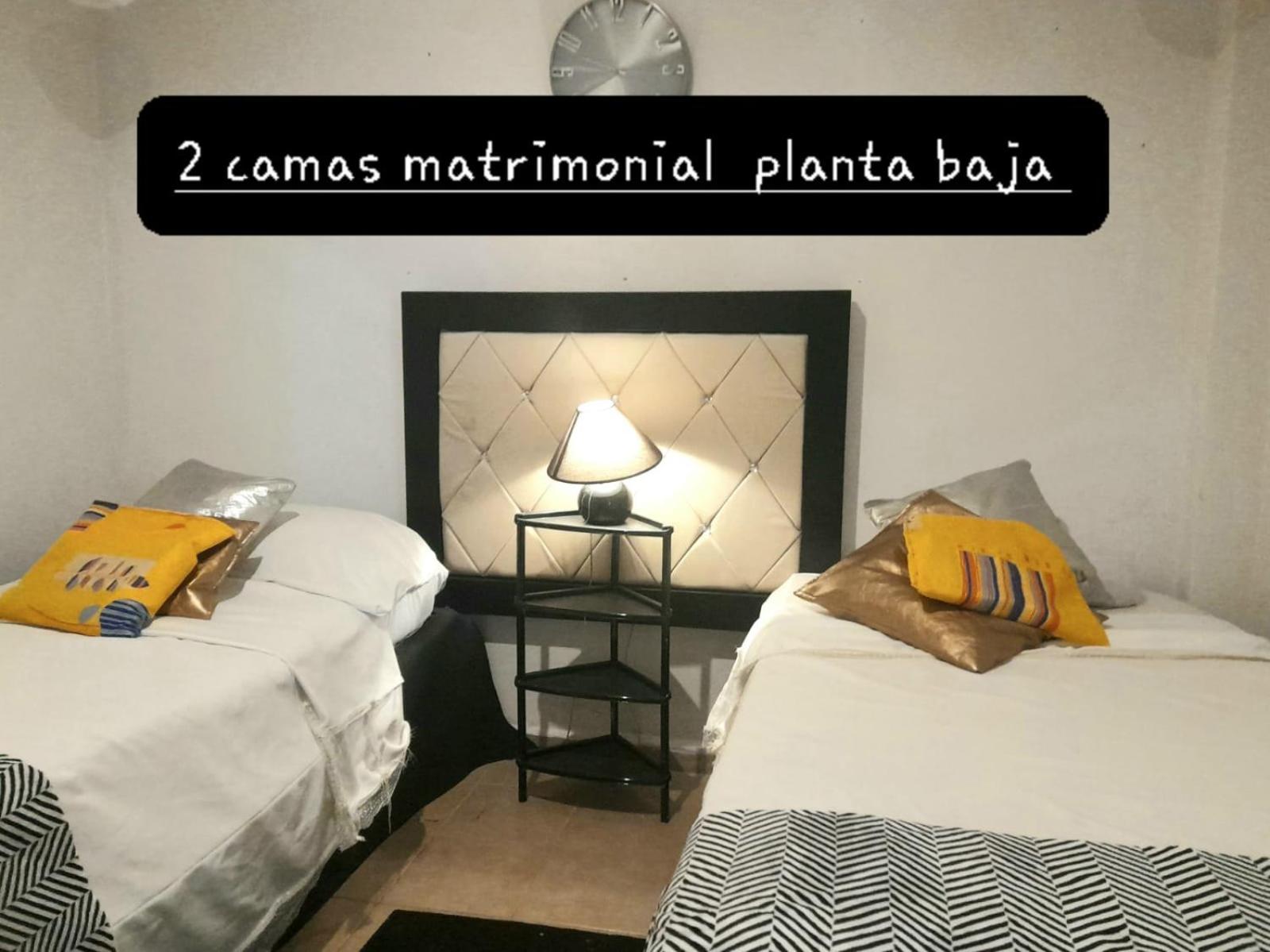Twin Room photo 2