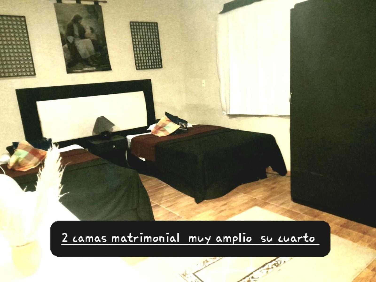 Twin Room photo 1