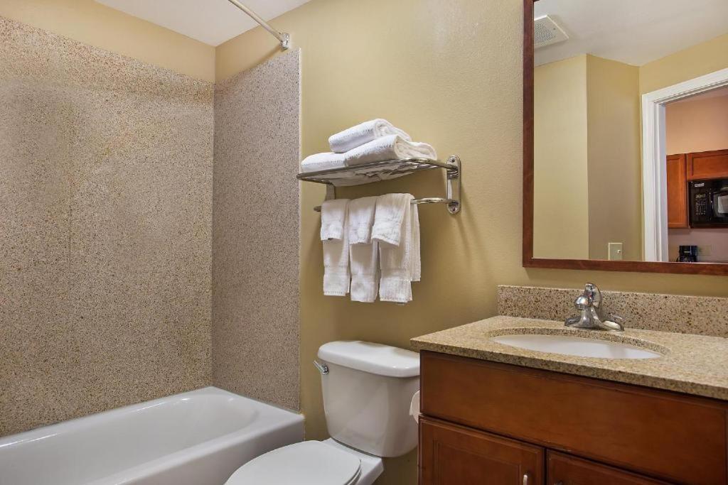 Studio Suite - Photo 5