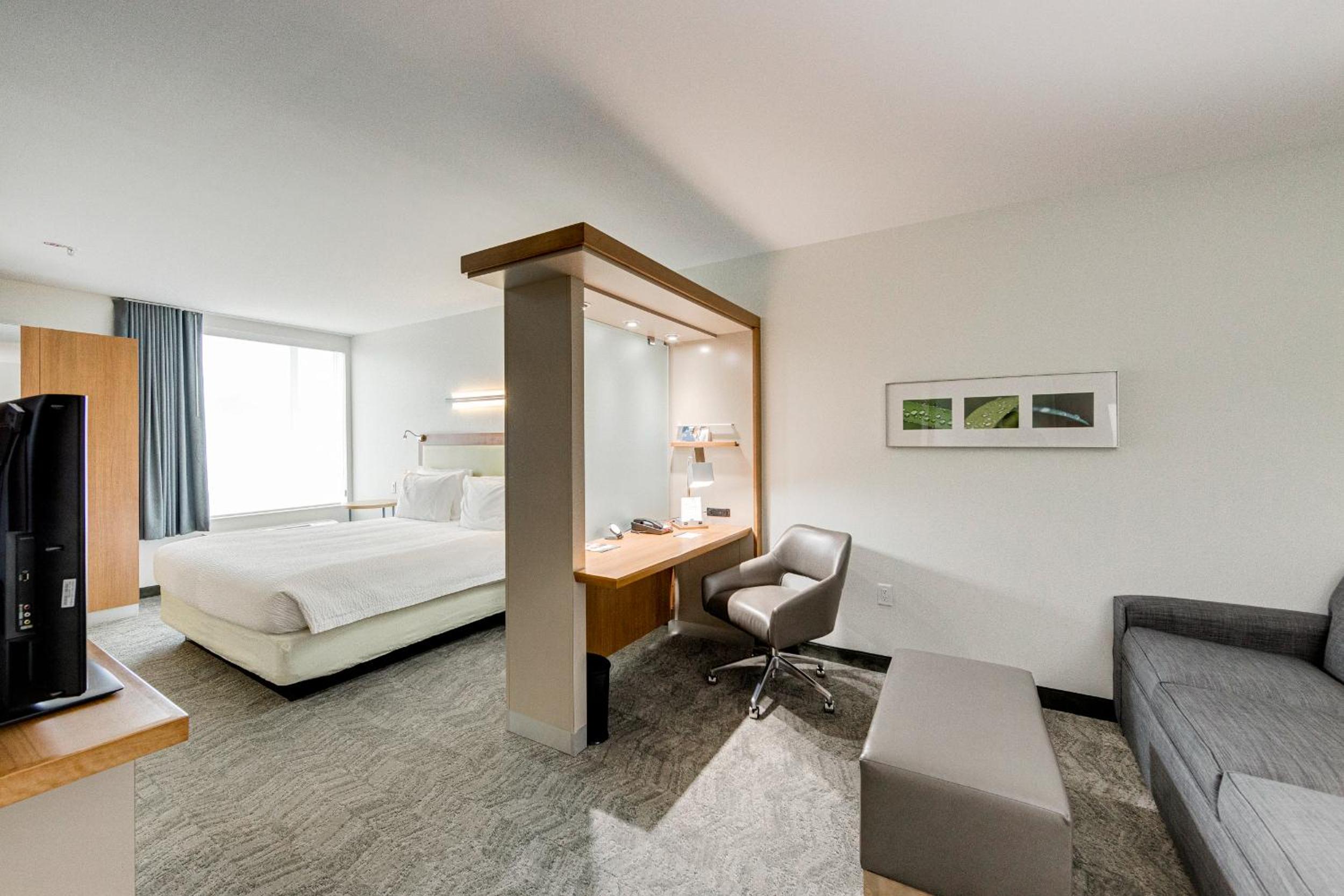 King Suite with Sofa Bed and Roll-in Shower - Mobility and Hearing Accessible - Photo 1