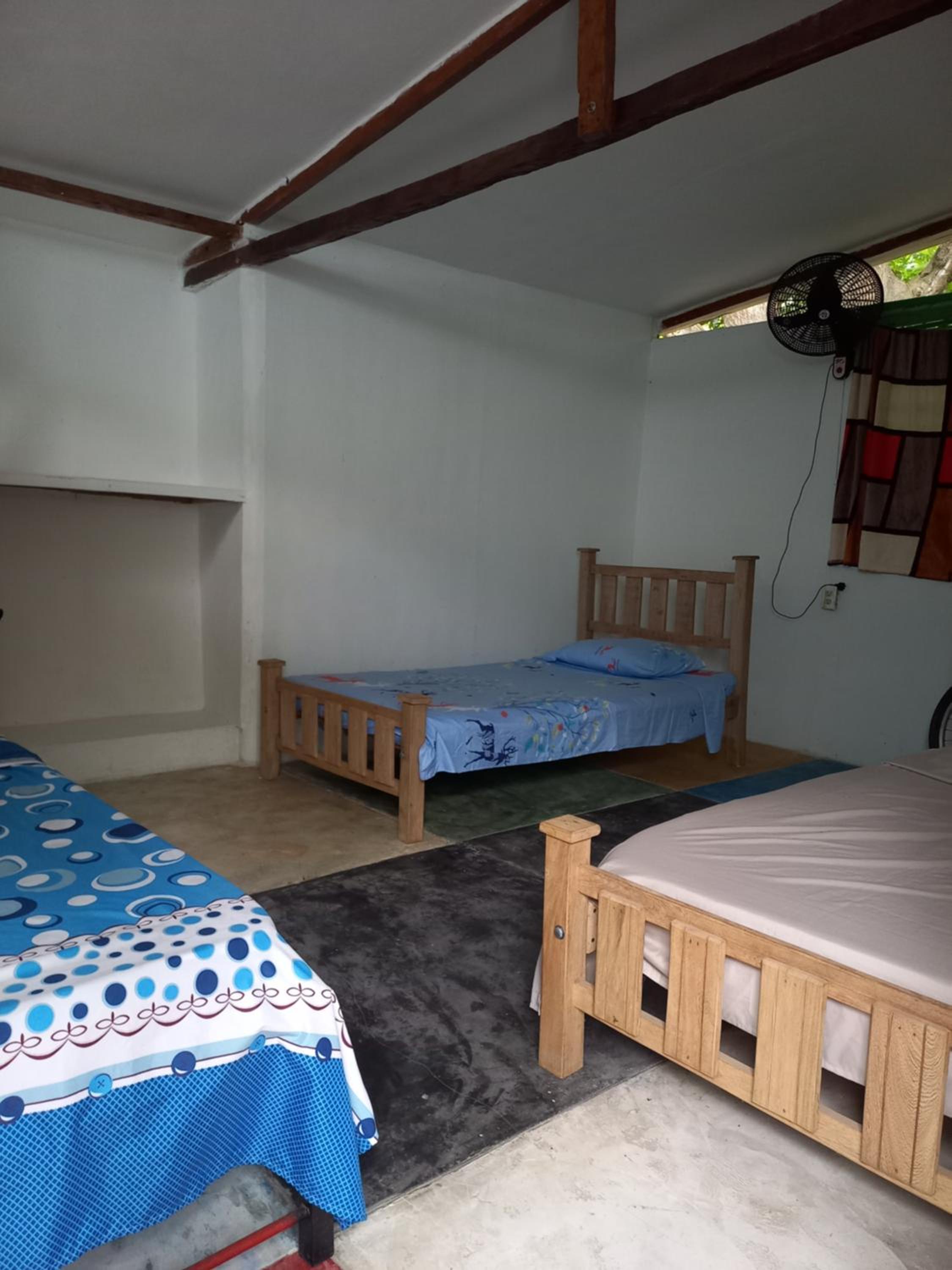 Single Bed in Mixed Dormitory Room photo 1