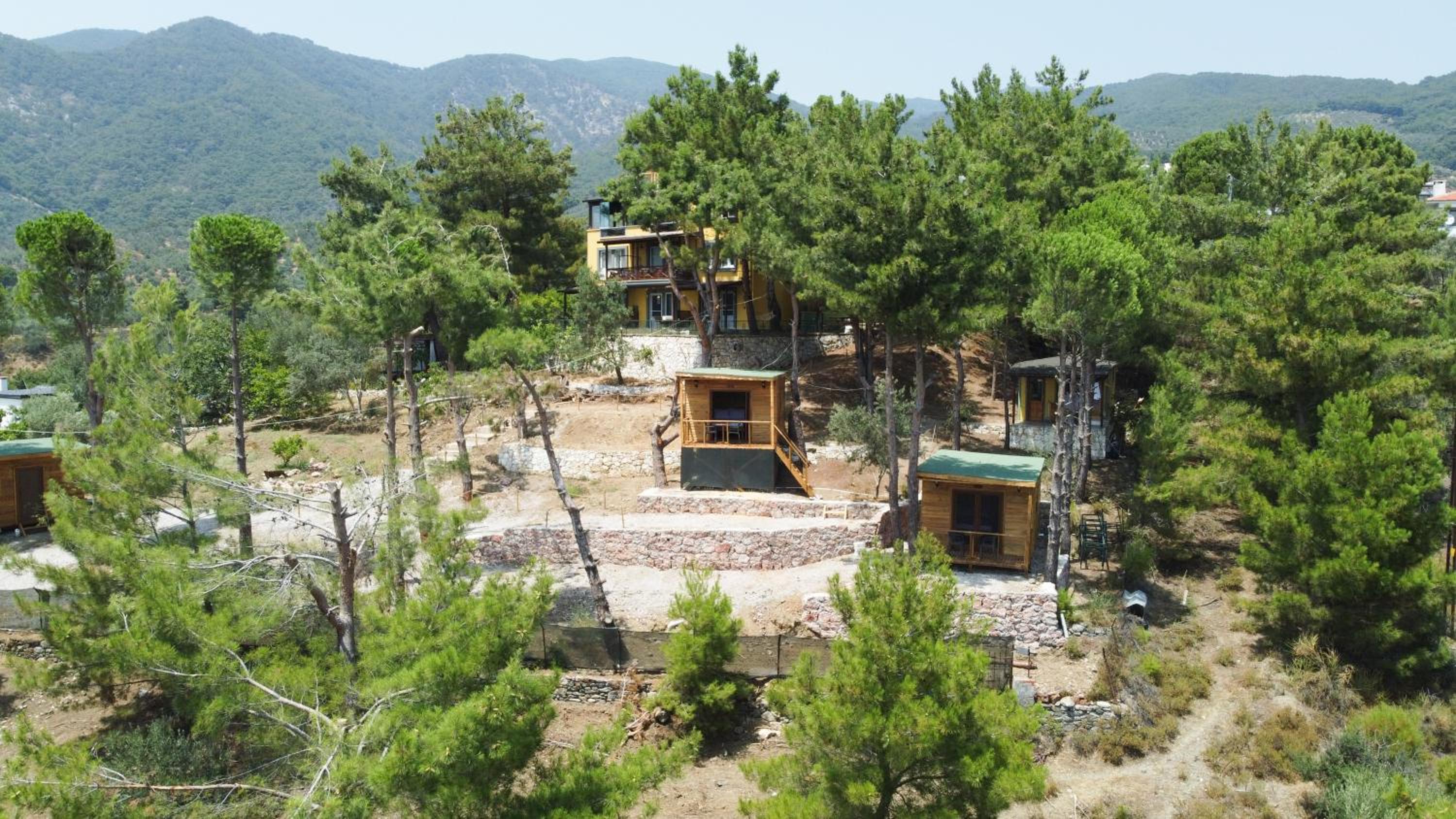 Bungalow with Sea View photo 2