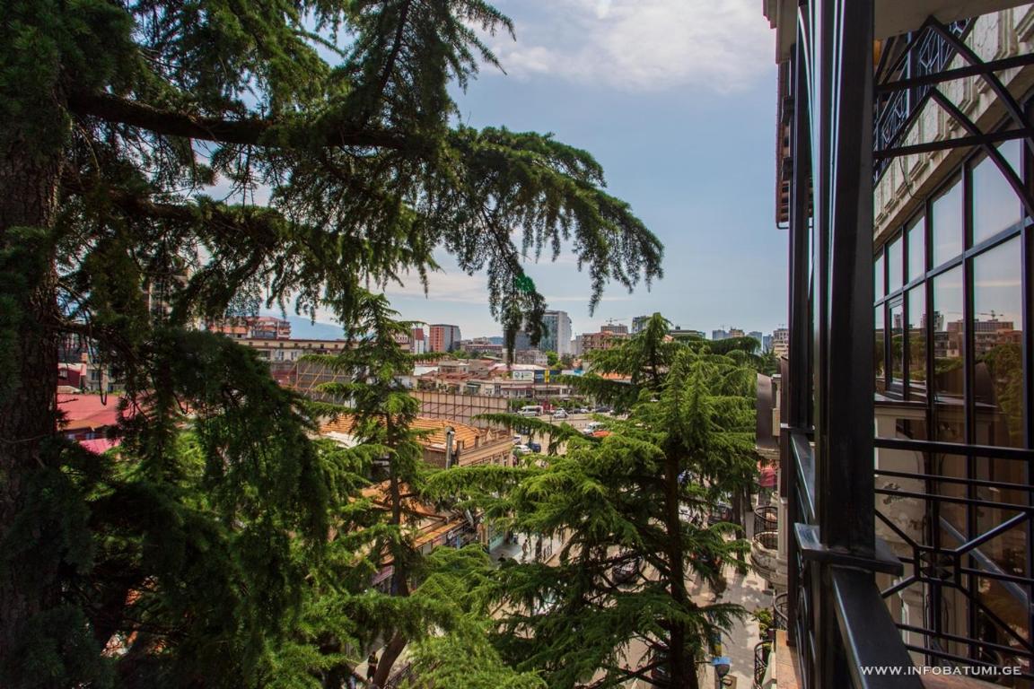 Twin Room with City View photo 2