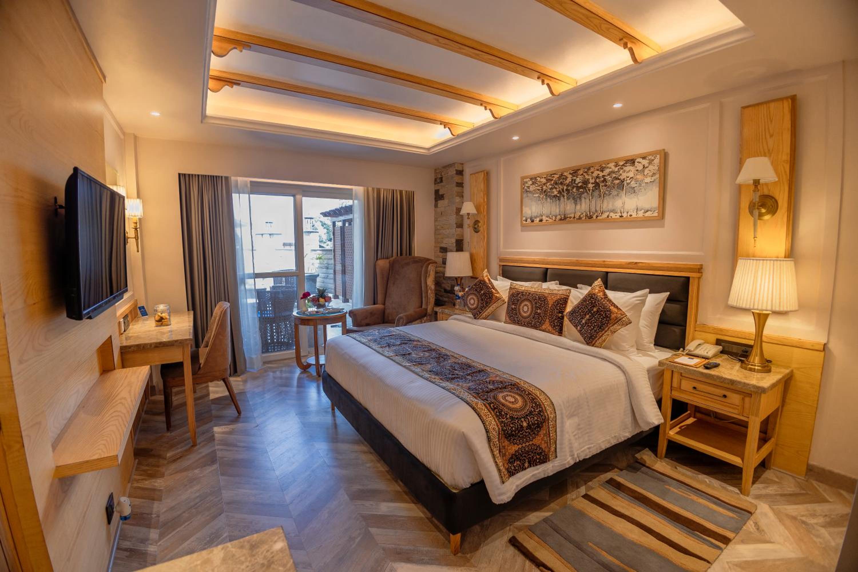 Luxury Suite with Private Sit Out - Photo 1