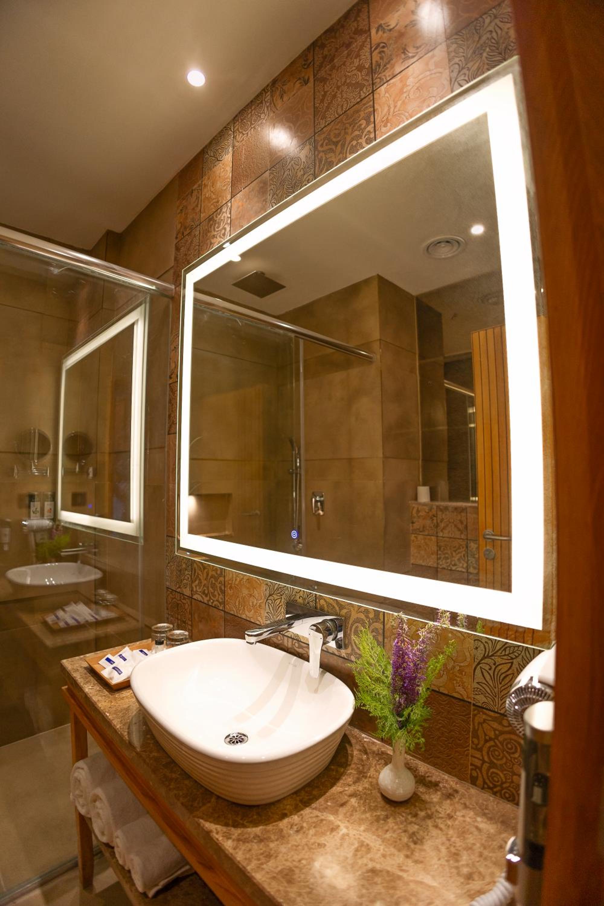 Luxury Suite with Private Sit Out - Photo 4