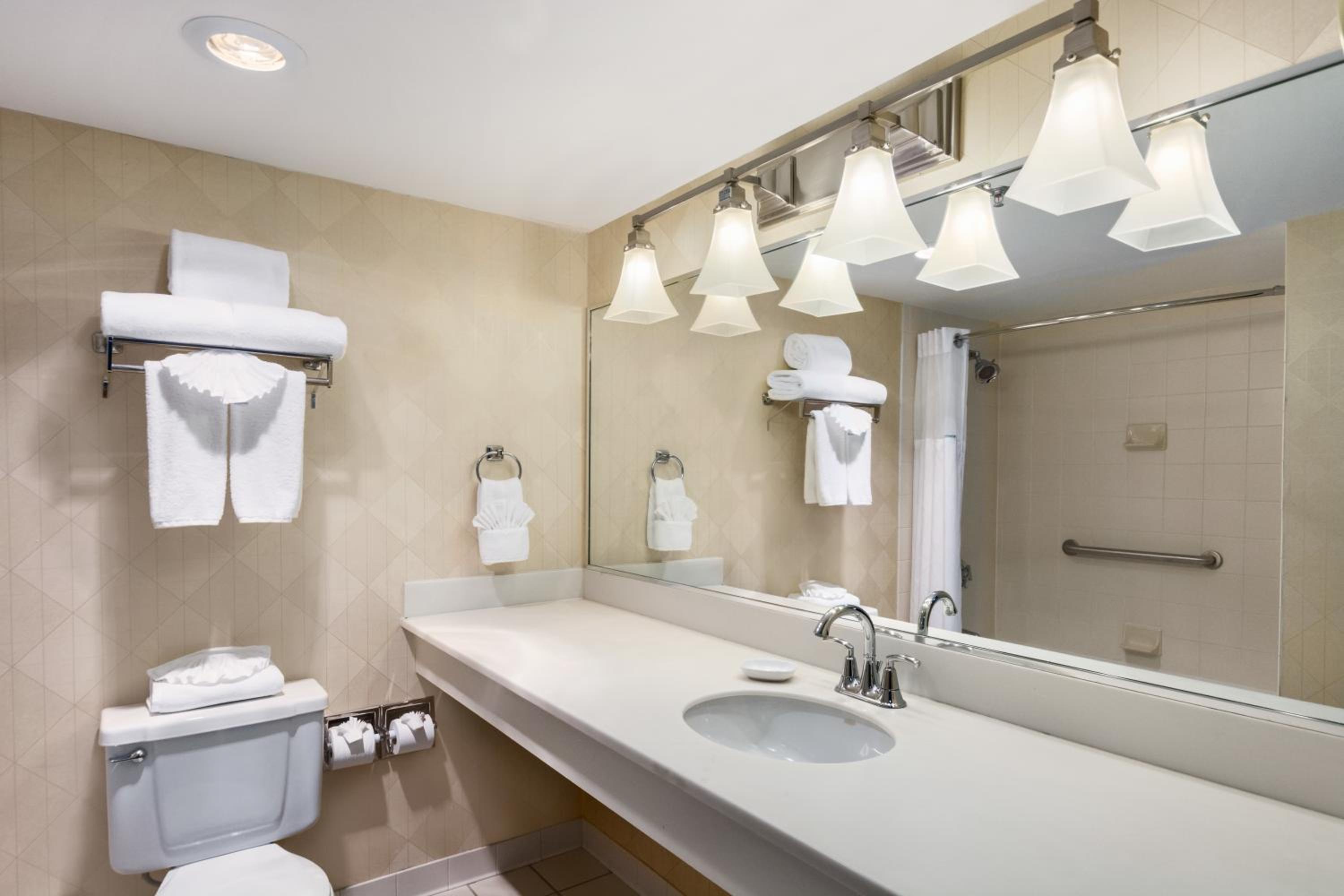 Premium King Room photo 3