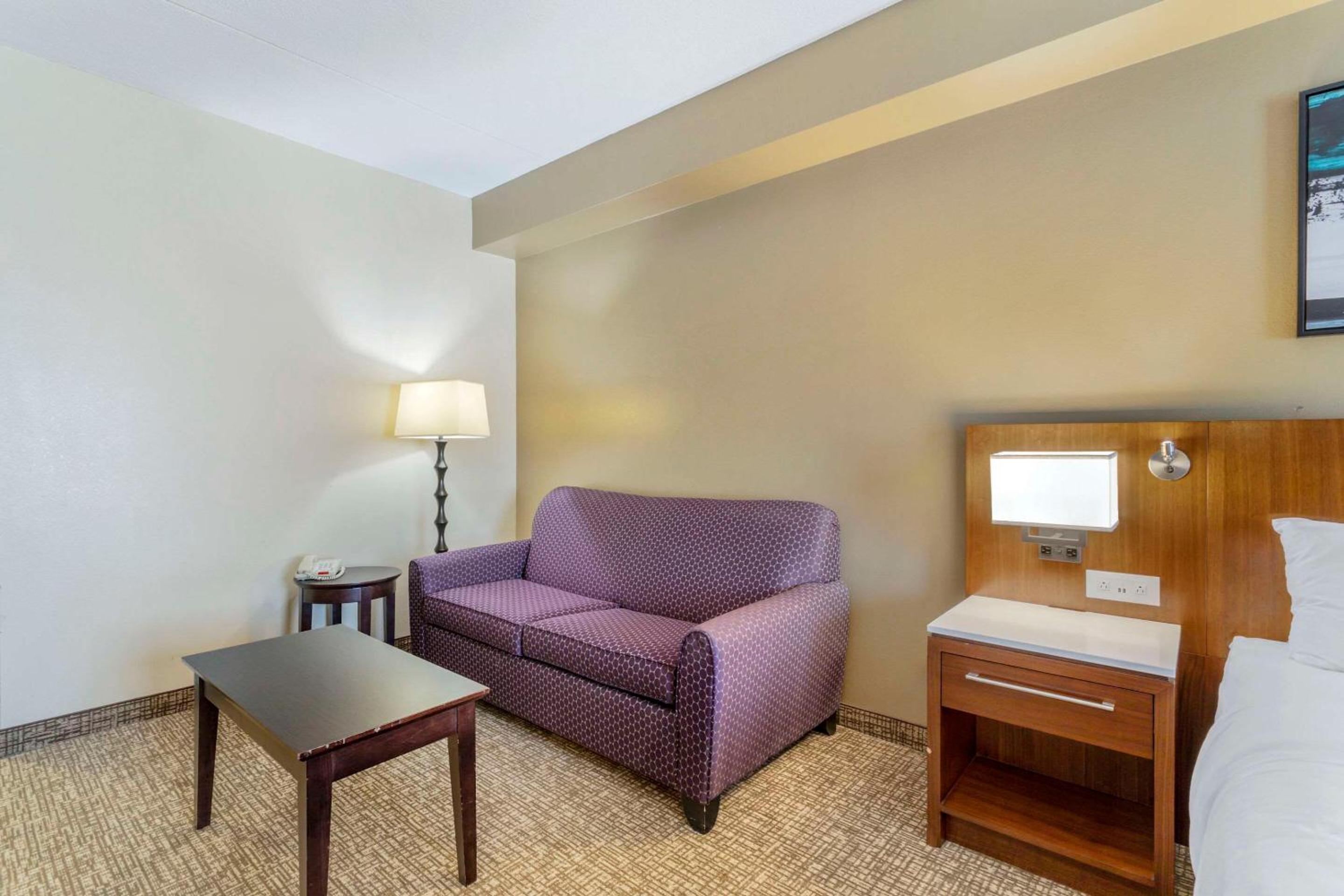 King Suite - Disability Access/Non-Smoking - Photo 5