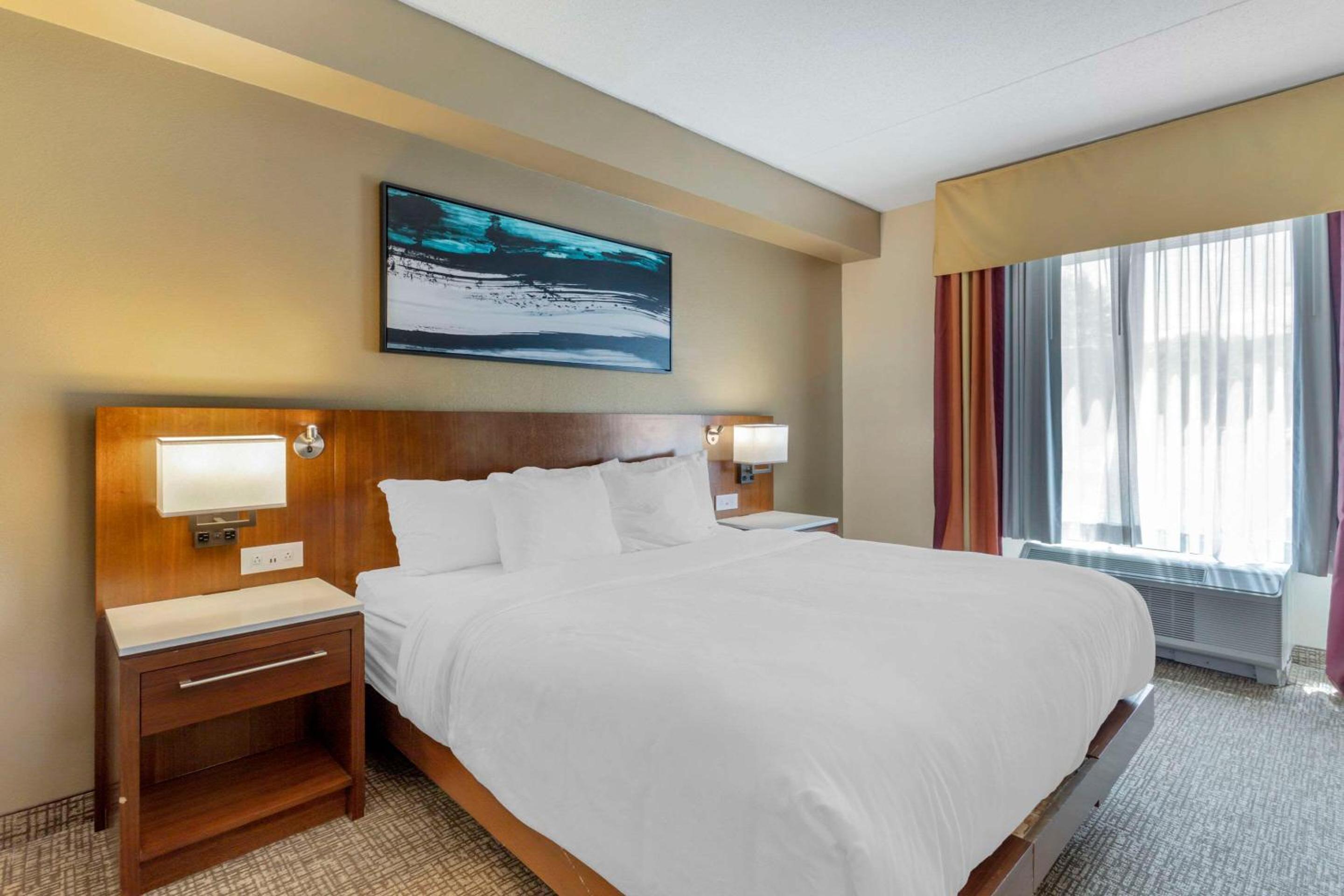 King Suite - Disability Access/Non-Smoking - Photo 6