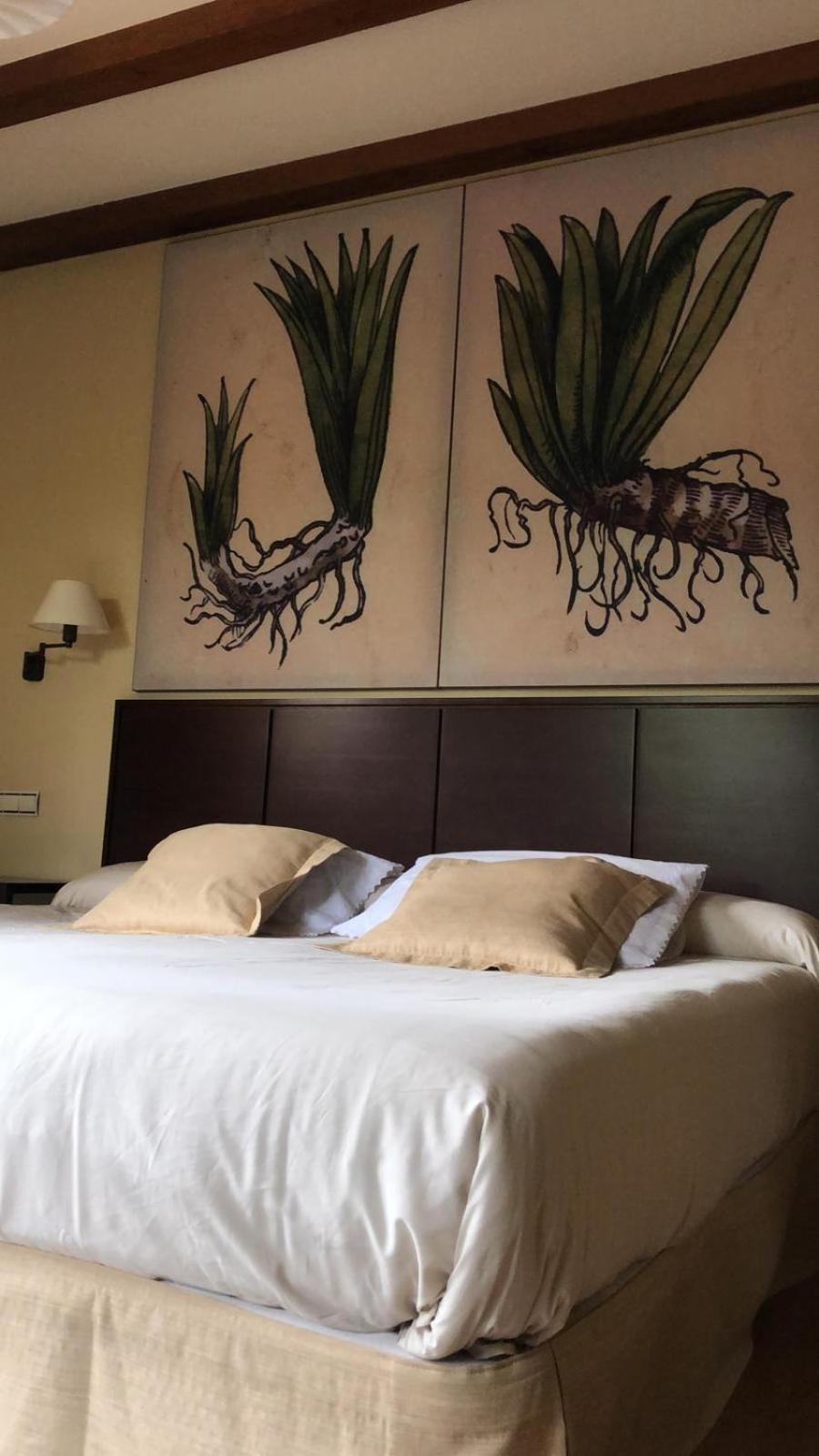 Habitación Deluxe King