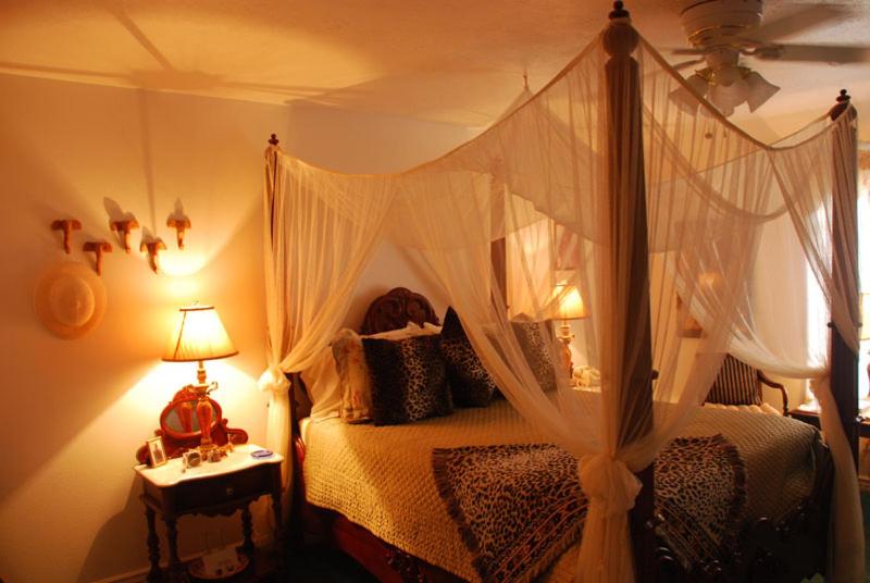 Queen Room photo 1