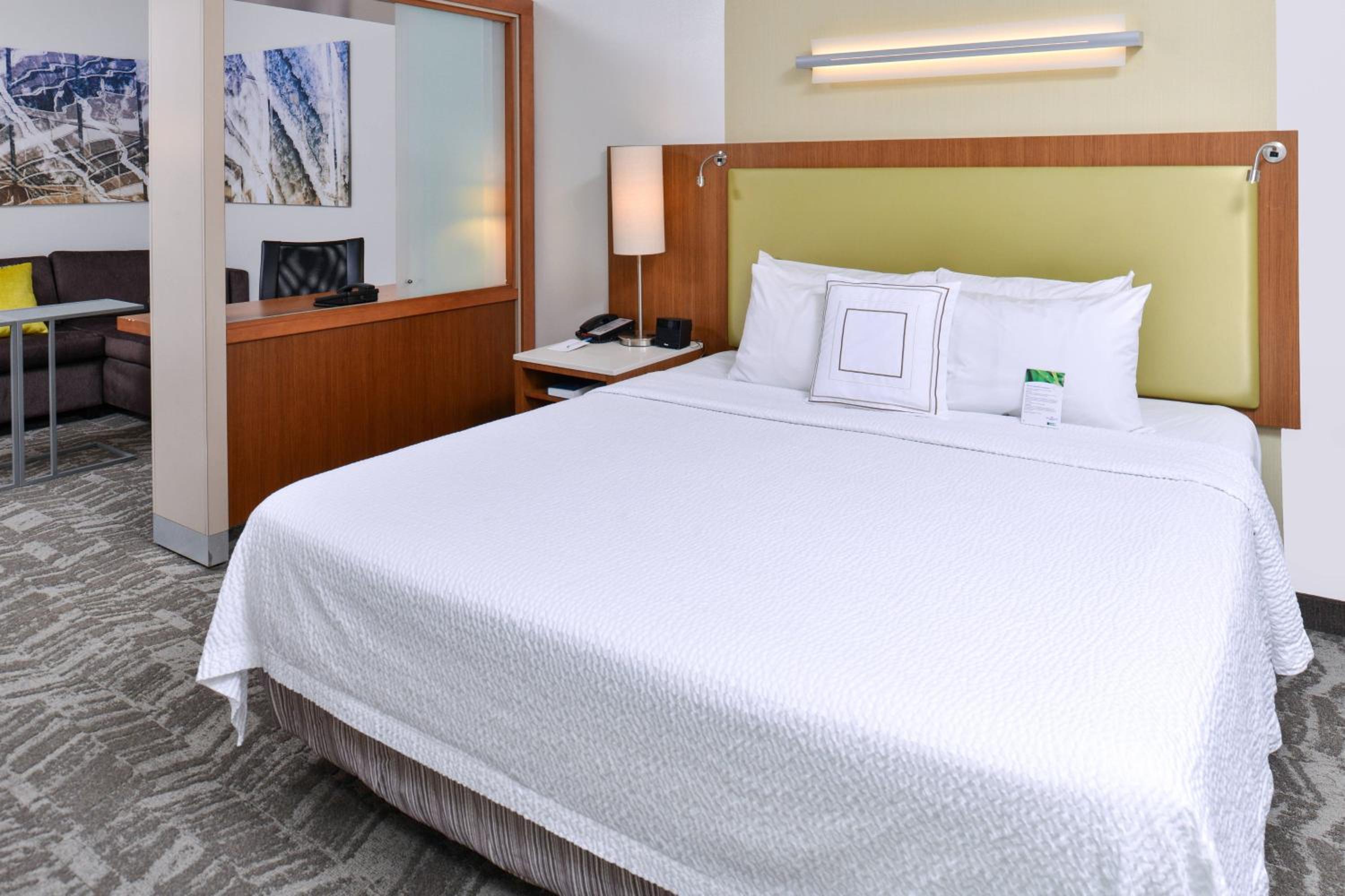 Springhill Suites by Marriott Detroit Metro Airport Romulus, Foto 7