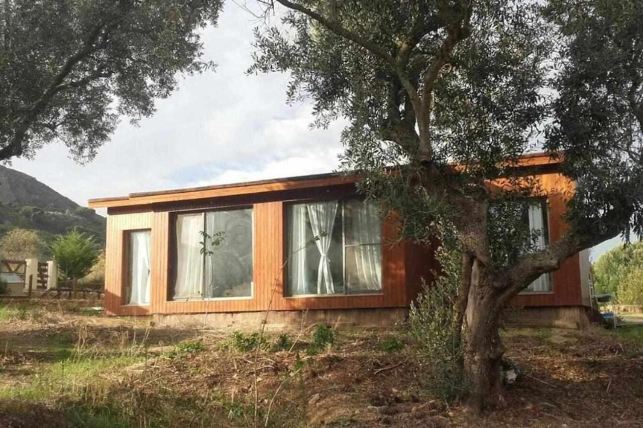 Double or Twin Room with Shared Bathroom photo 2