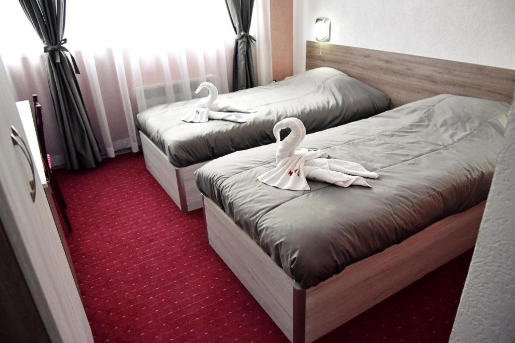 Double Or Twin Room