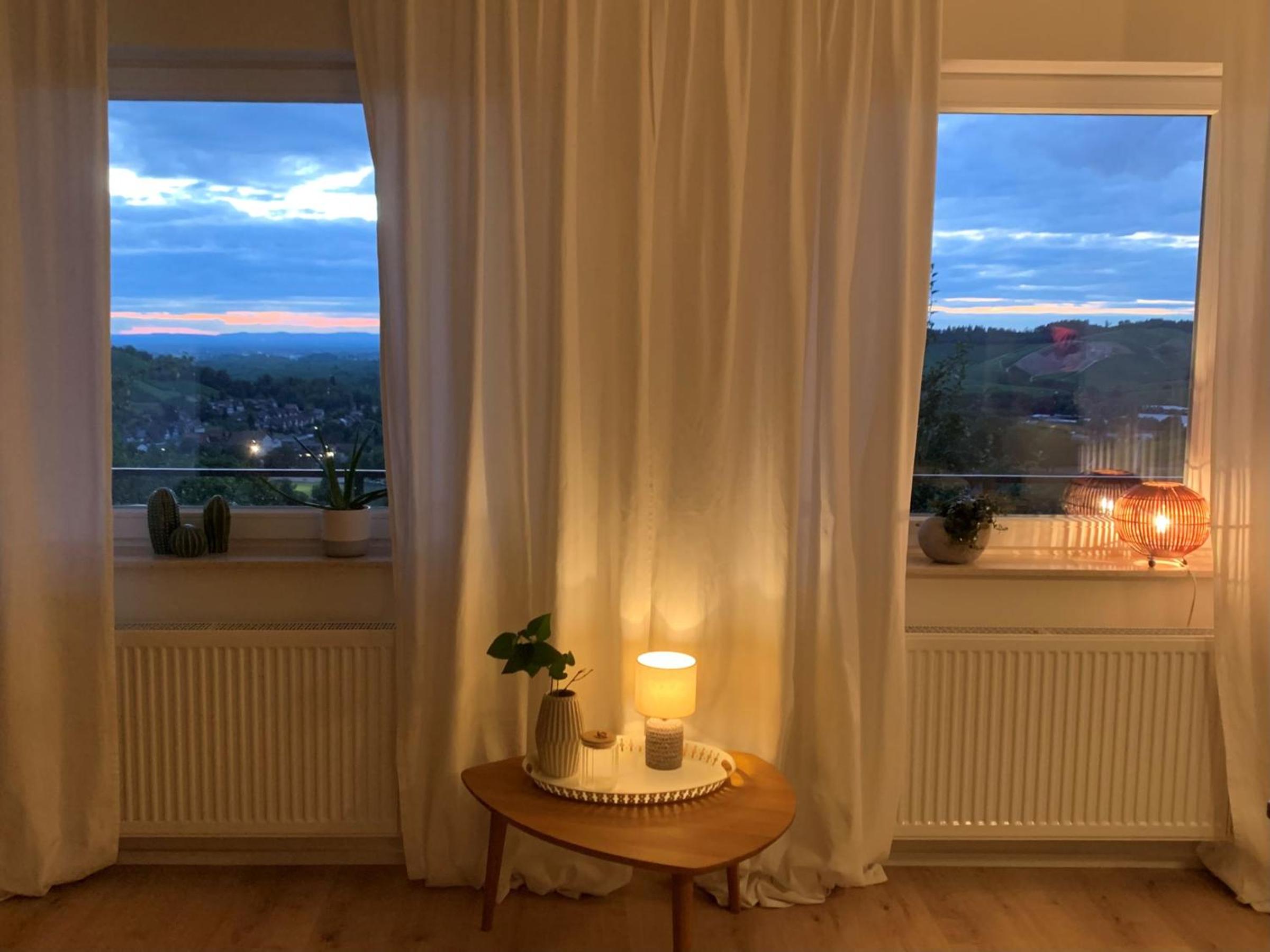 Superior One-Bedroom Apartment With Balcony photo 2