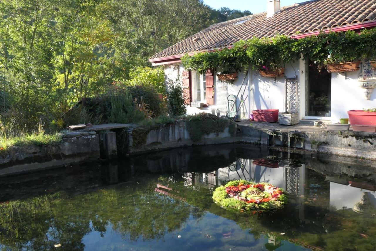 Double Room with Terrace photo 3