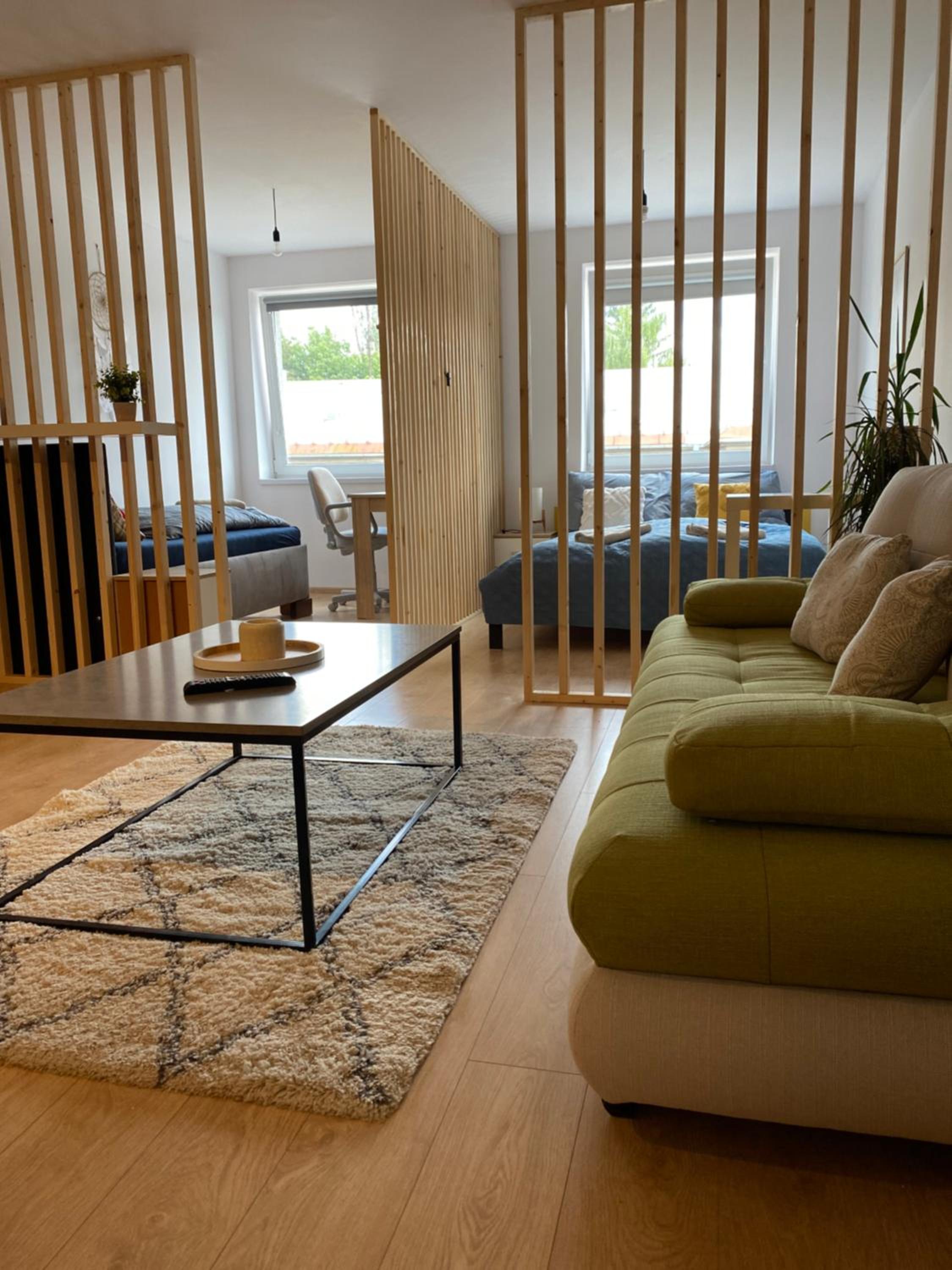 Superior Apartment - Photo 9