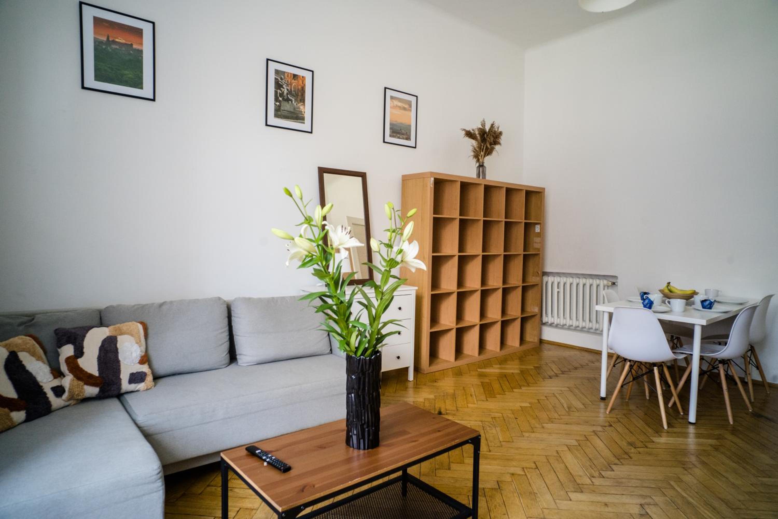 Apartment with Balcony and City View photo 3