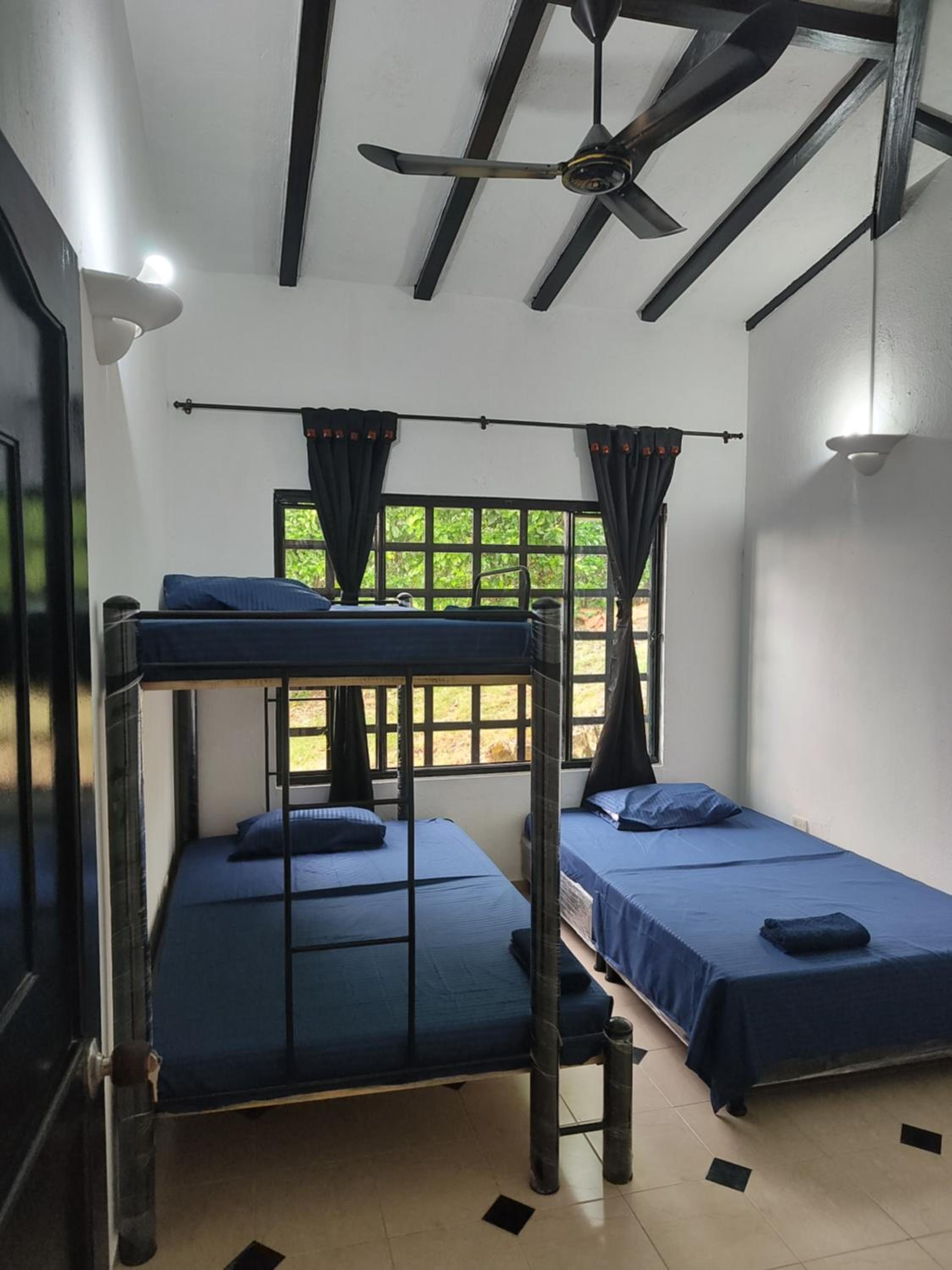 Three-Bedroom House photo 1