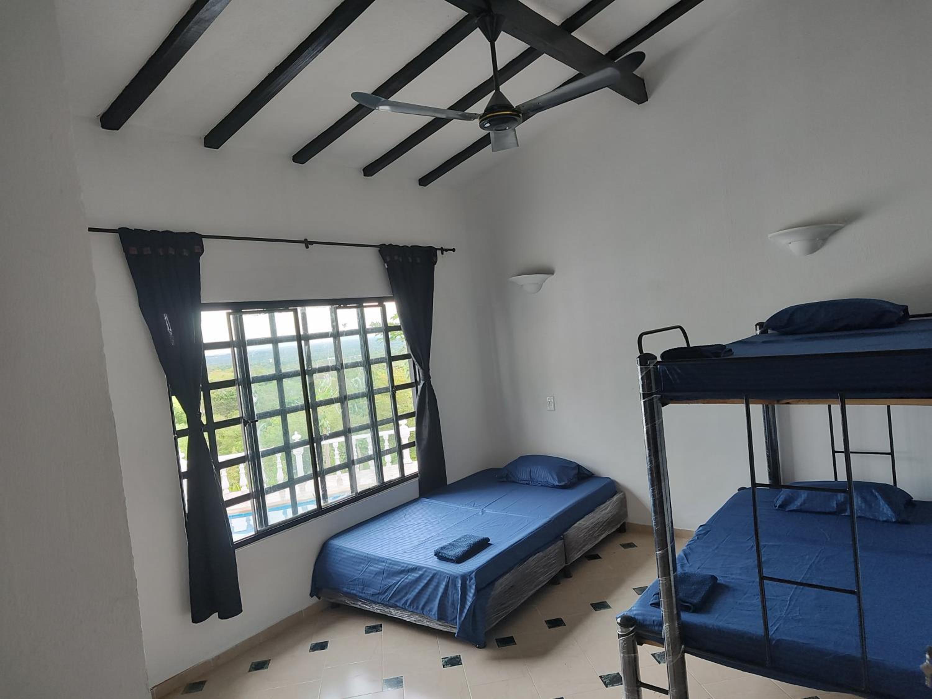 Three-Bedroom House photo 3