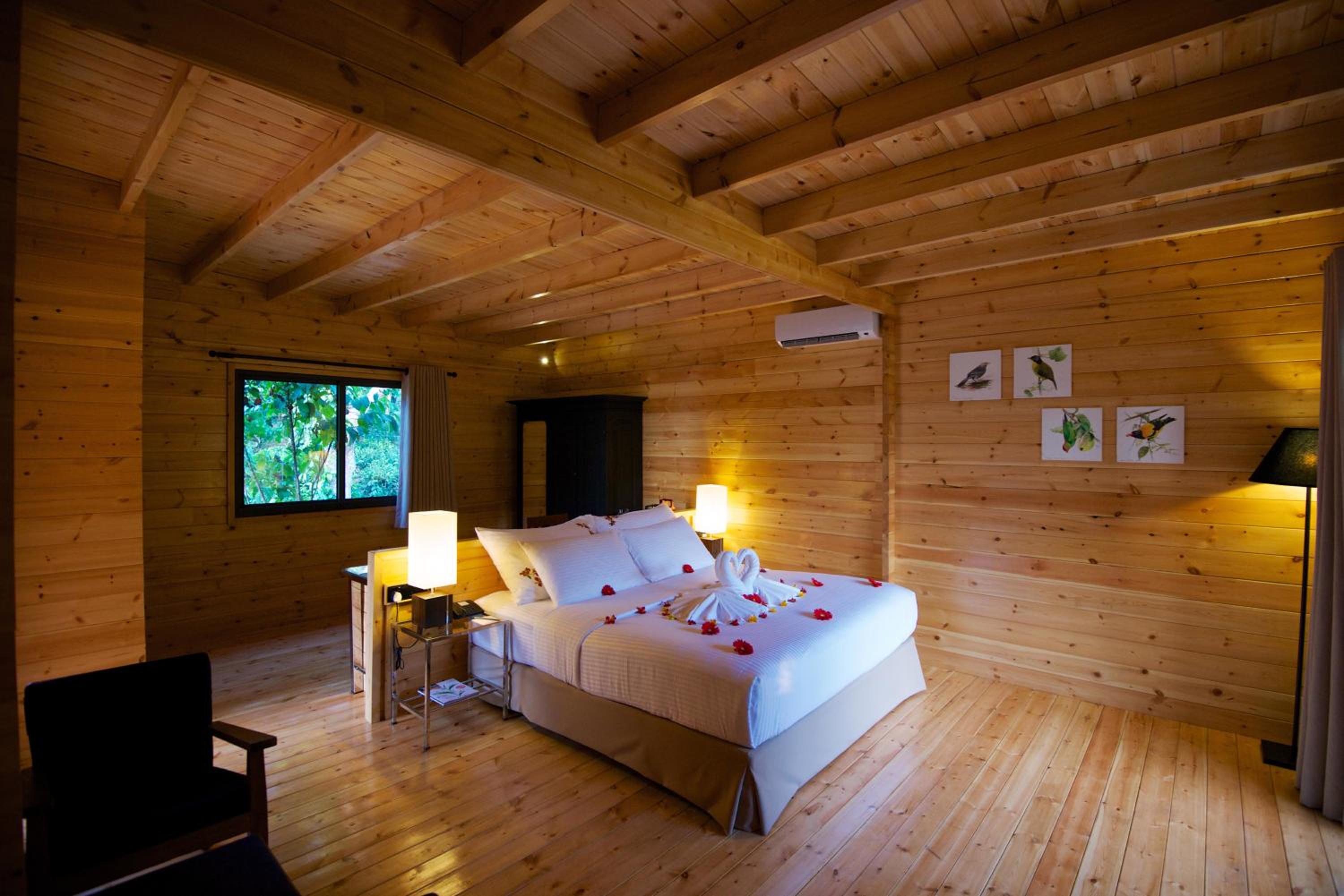 Garden Chalet with with sunset tea or coffee and homemade cookies, a morning bird-watching trail - Photo 4
