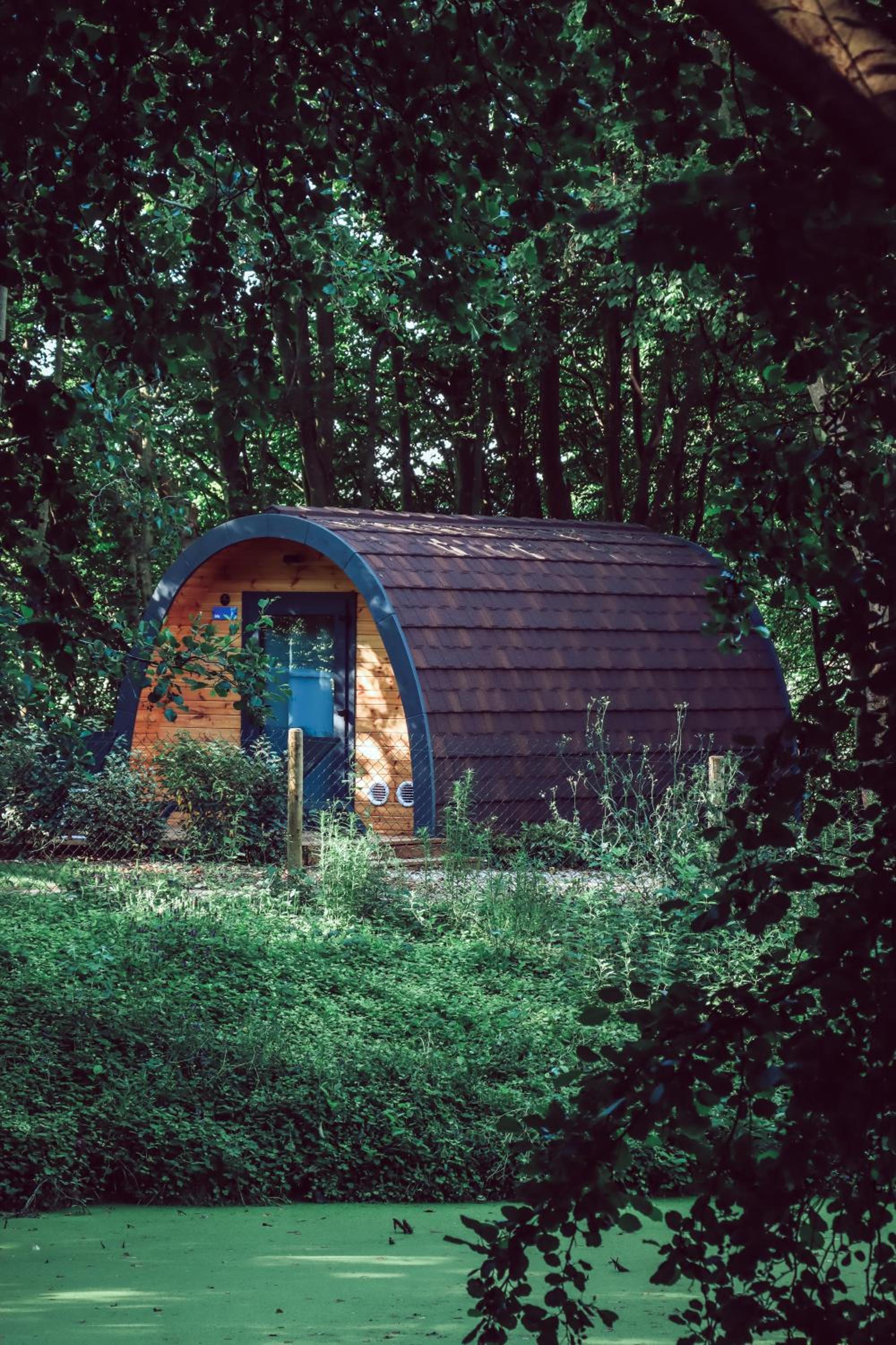 Chambre Lit Queen-Size - Vue sur Jardin