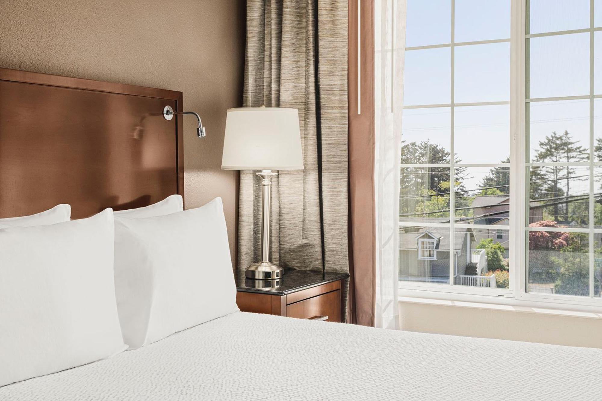King Suite with Spa Bath photo 3