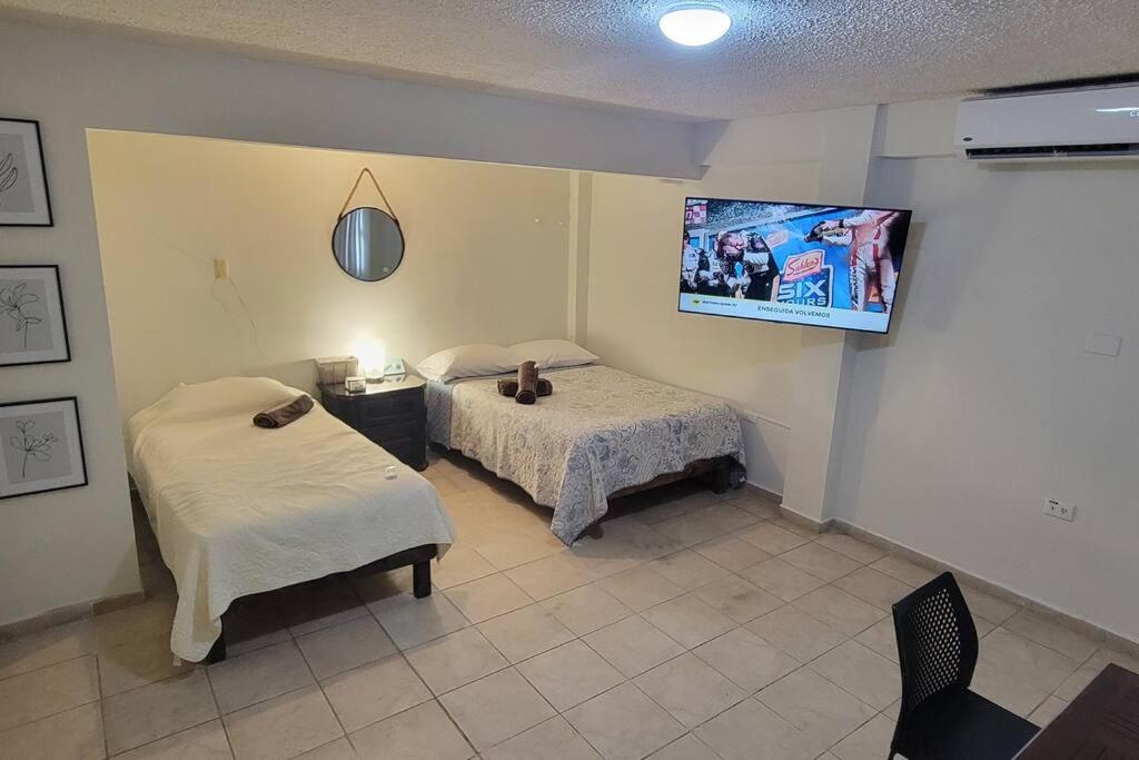 One-Bedroom Apartment photo 2