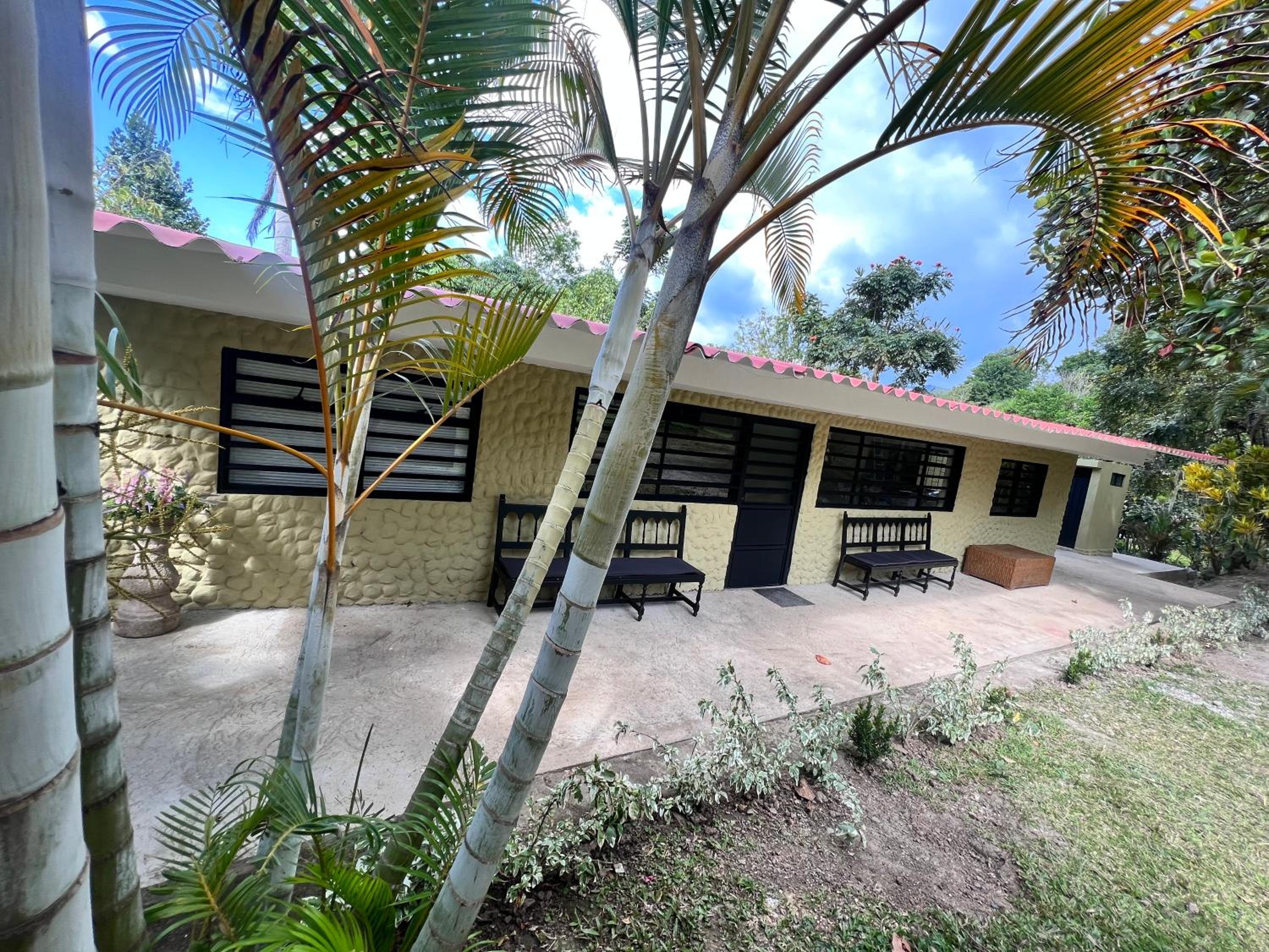 Three-Bedroom House photo 3