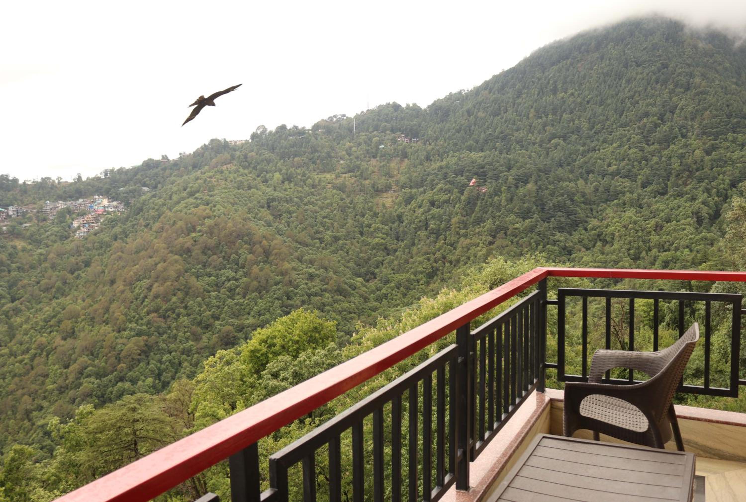 Double Room with Balcony - Photo 9