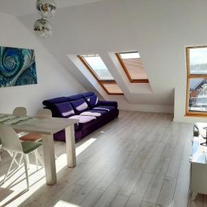 Apartment with Shower photo 2