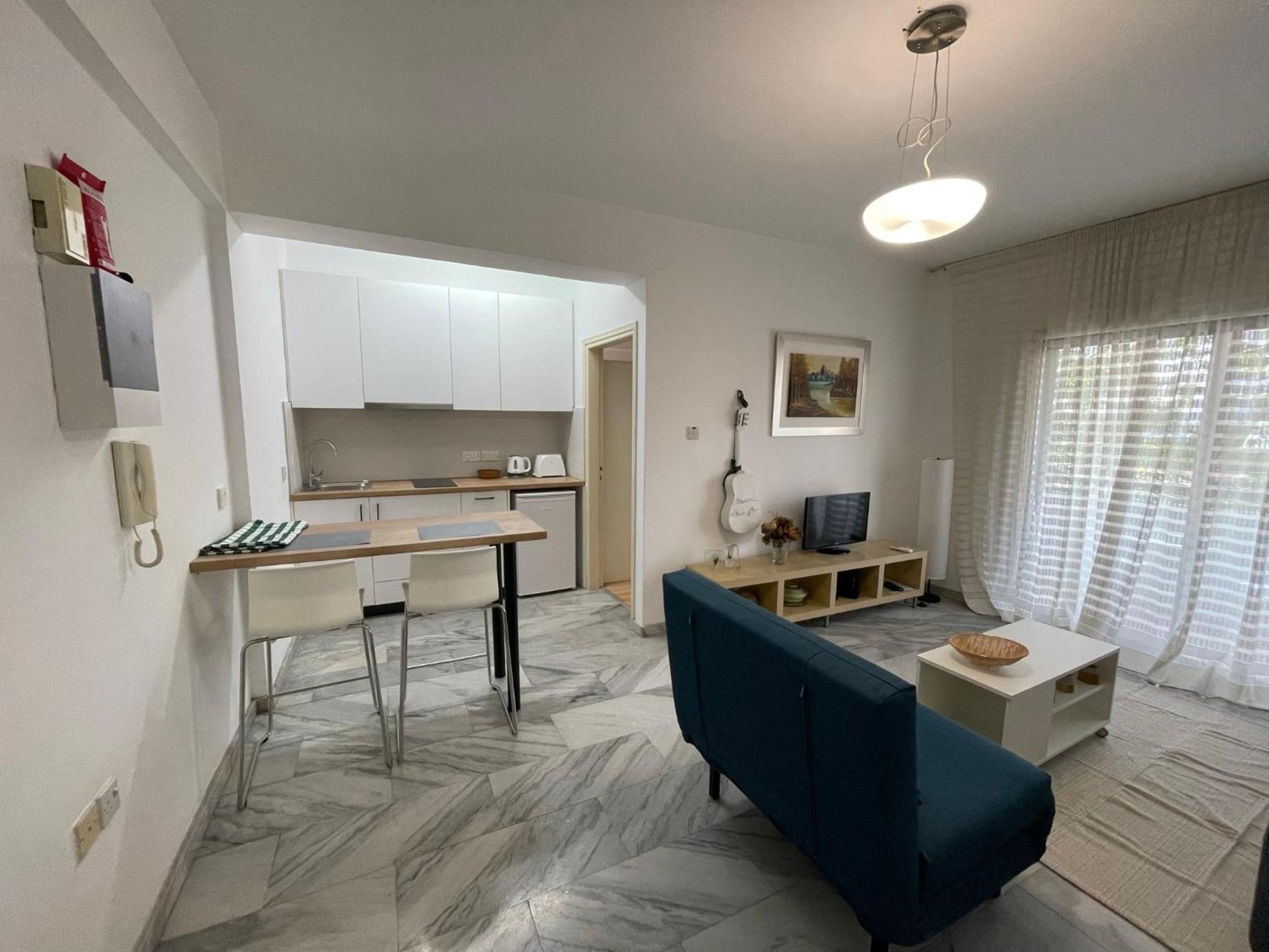 One-Bedroom Apartment photo 3